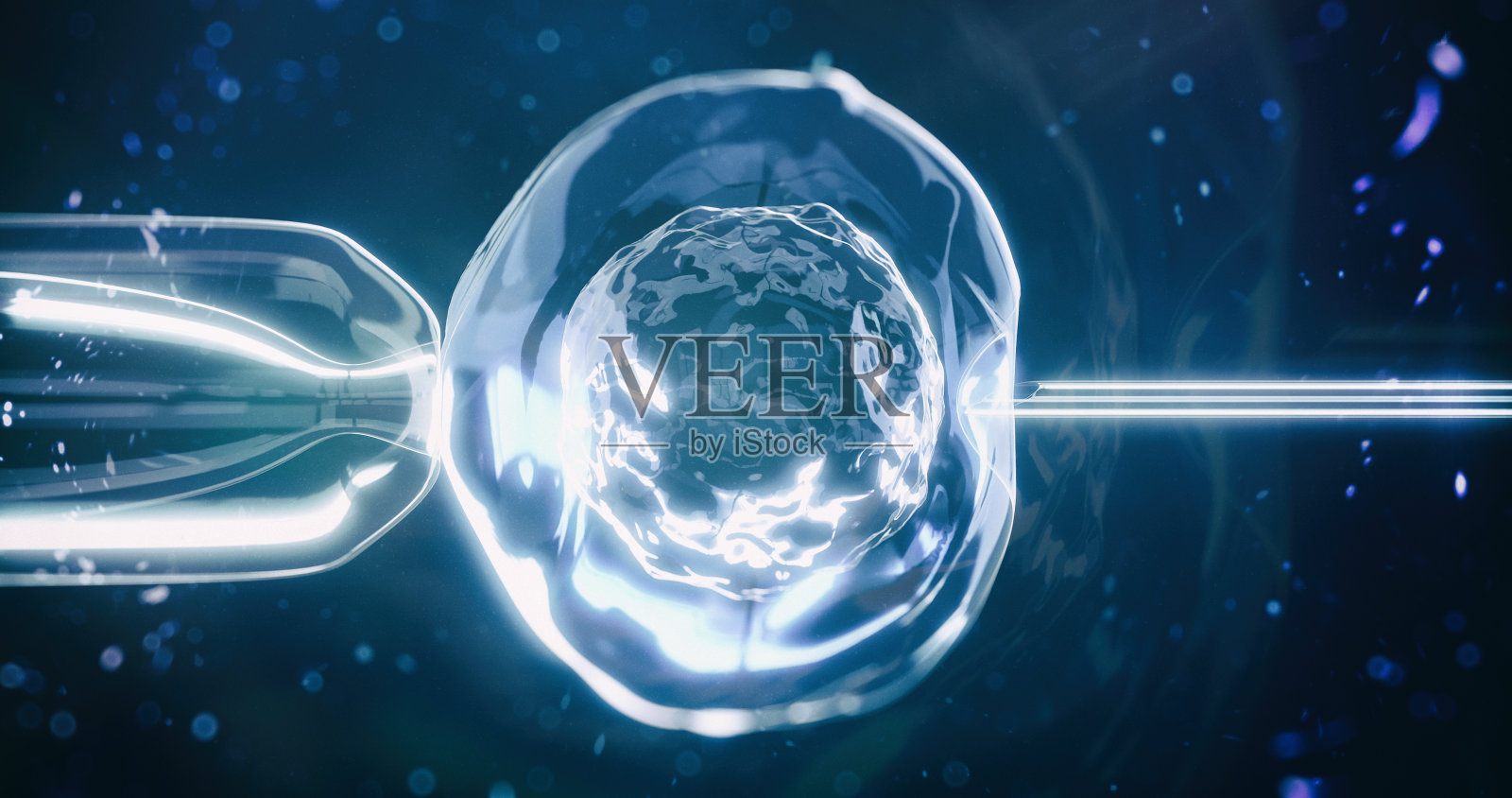 体外受精s05照片摄影图片