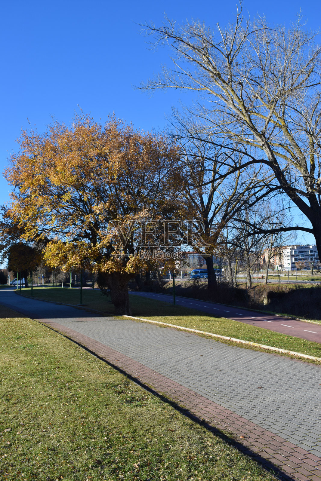 公园和户外散步。照片摄影图片