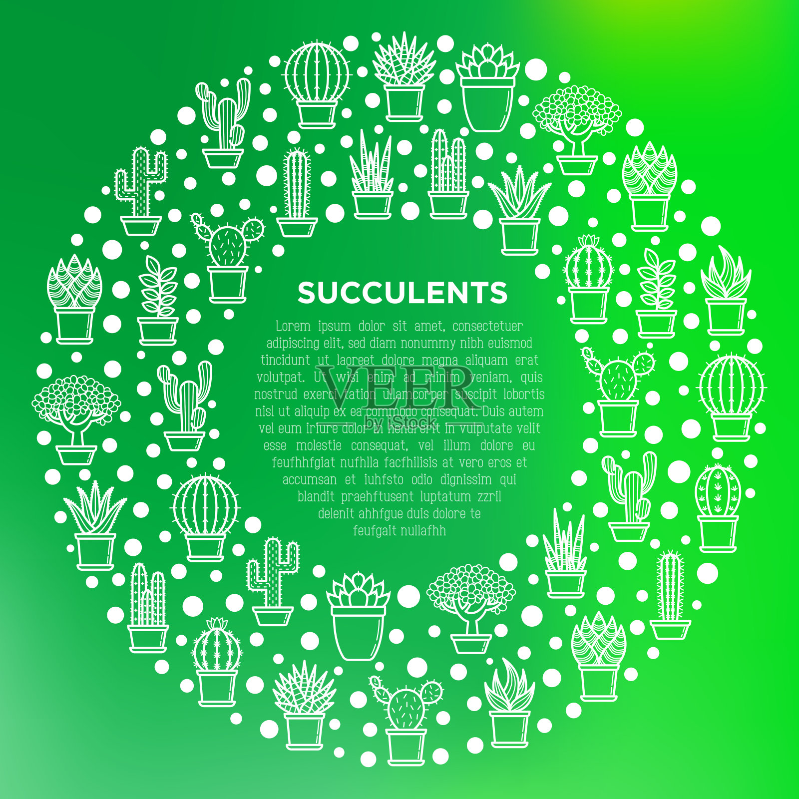 仙人掌和多肉植物在盆概念与细线图标圈。现代矢量插图,网页模板商店的植物。插画图片素材