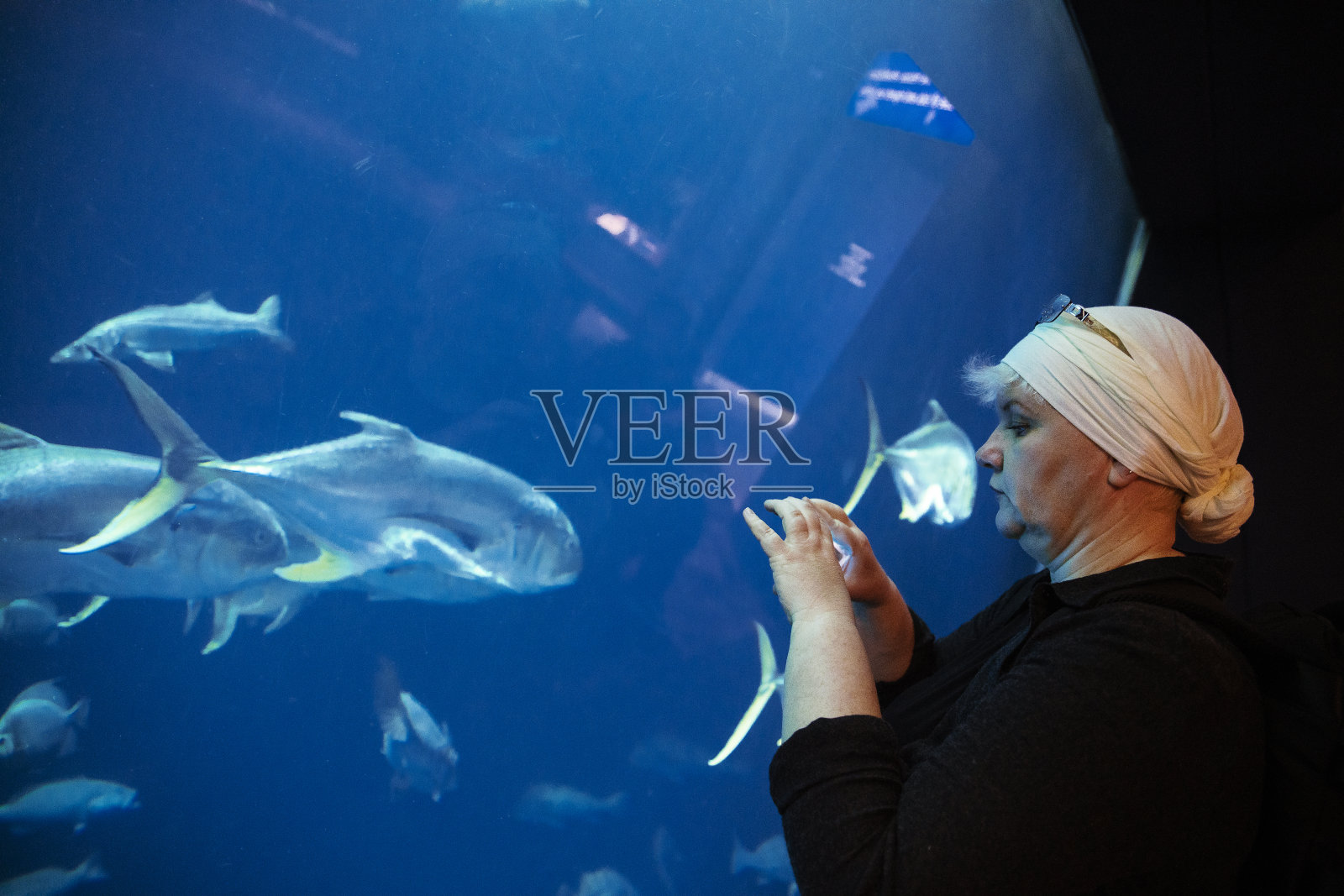 成熟的女人在大鱼缸里看鱼然后用智能手机拍下来照片摄影图片