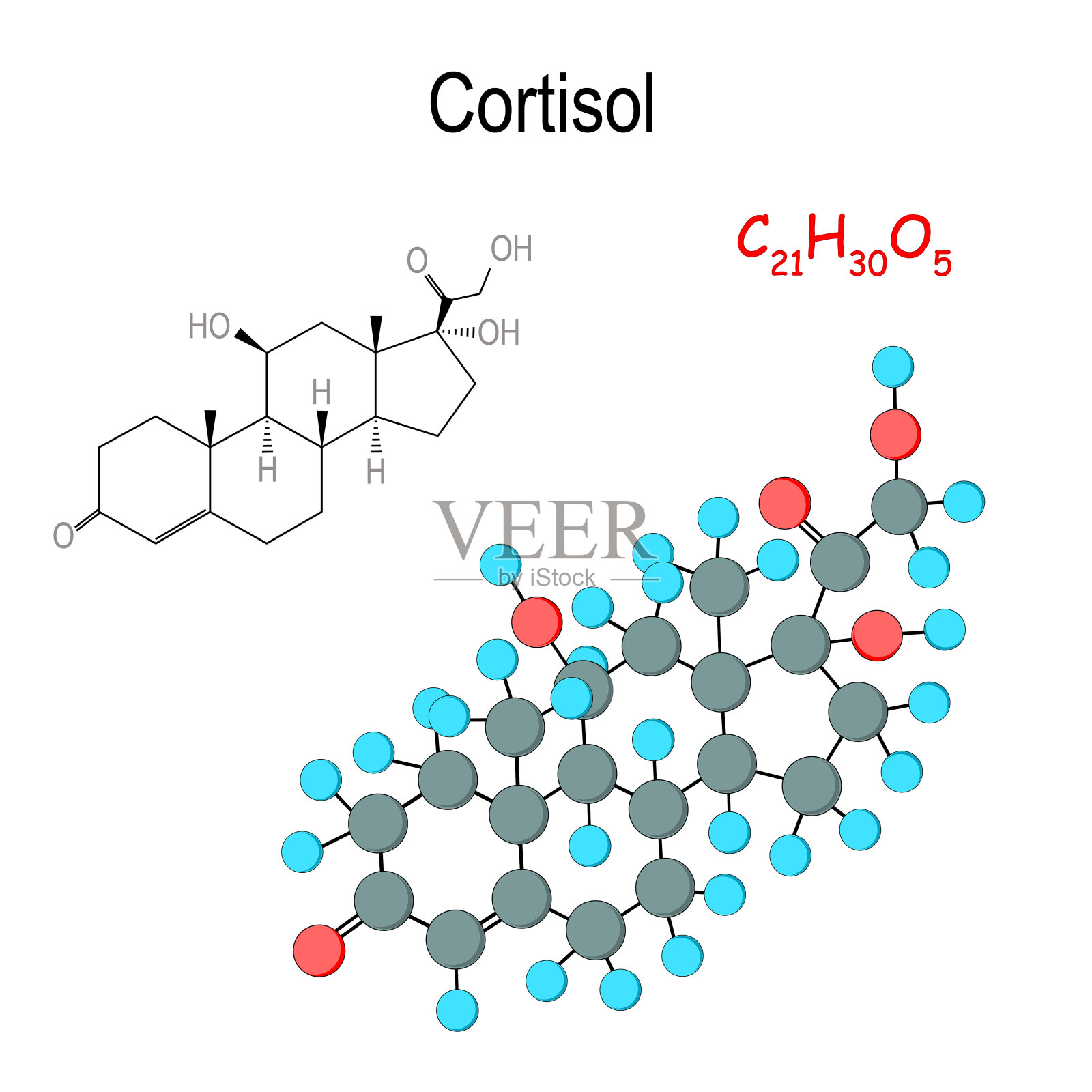皮质醇:化学结构式和激素分子模型C21H30O5插画图片素材