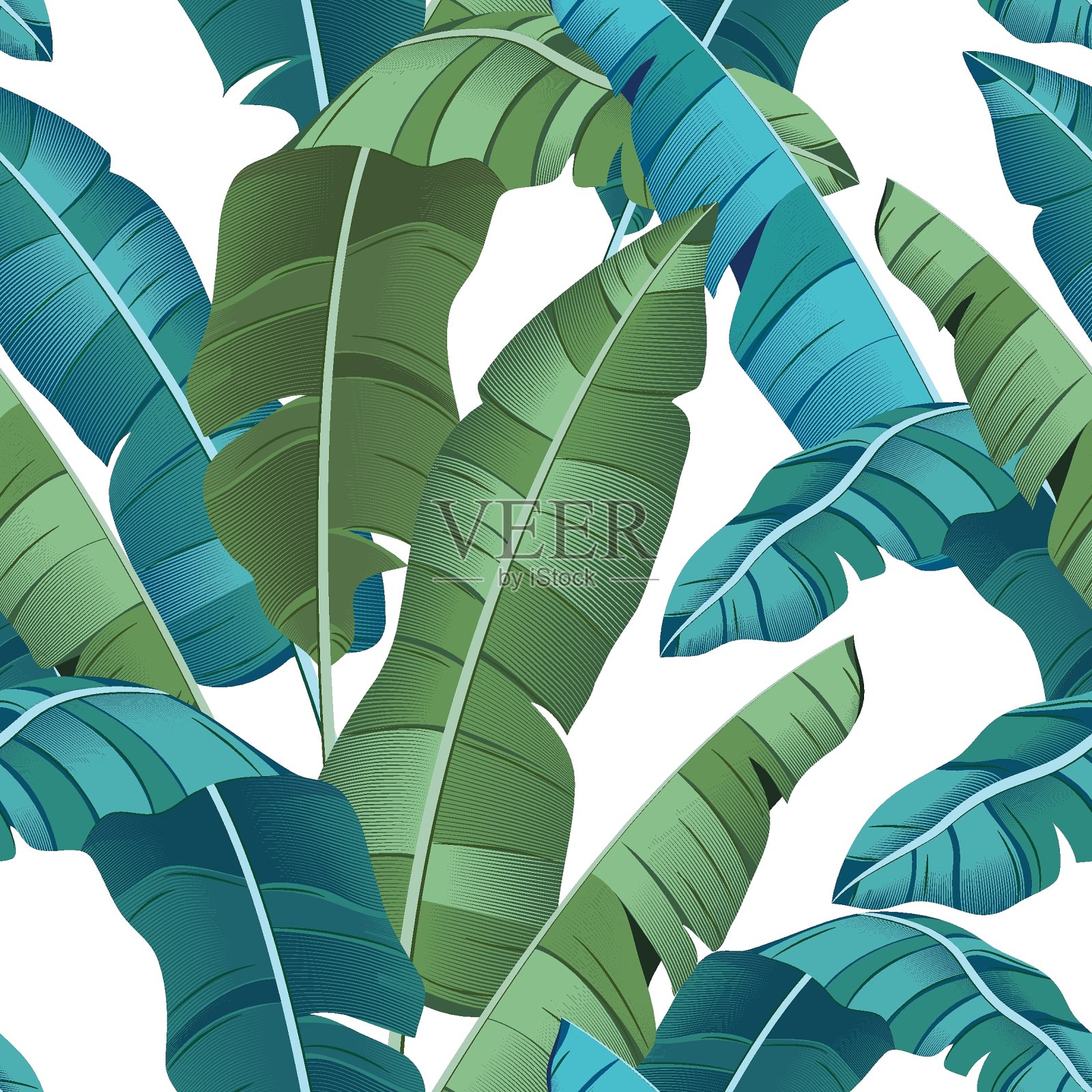 无缝绿松石和绿色热带模式与香蕉叶在白色的背景,平线向量和插图。——矢量插画图片素材