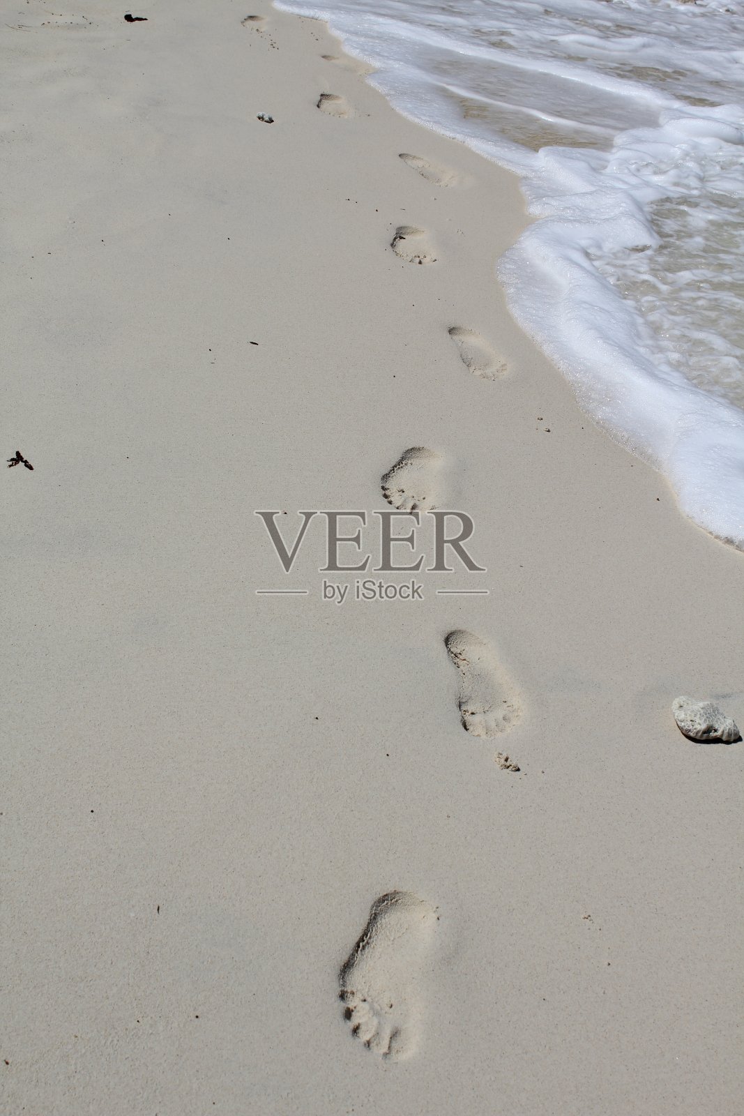 塞舌尔海滩私人岛屿椰子照片摄影图片