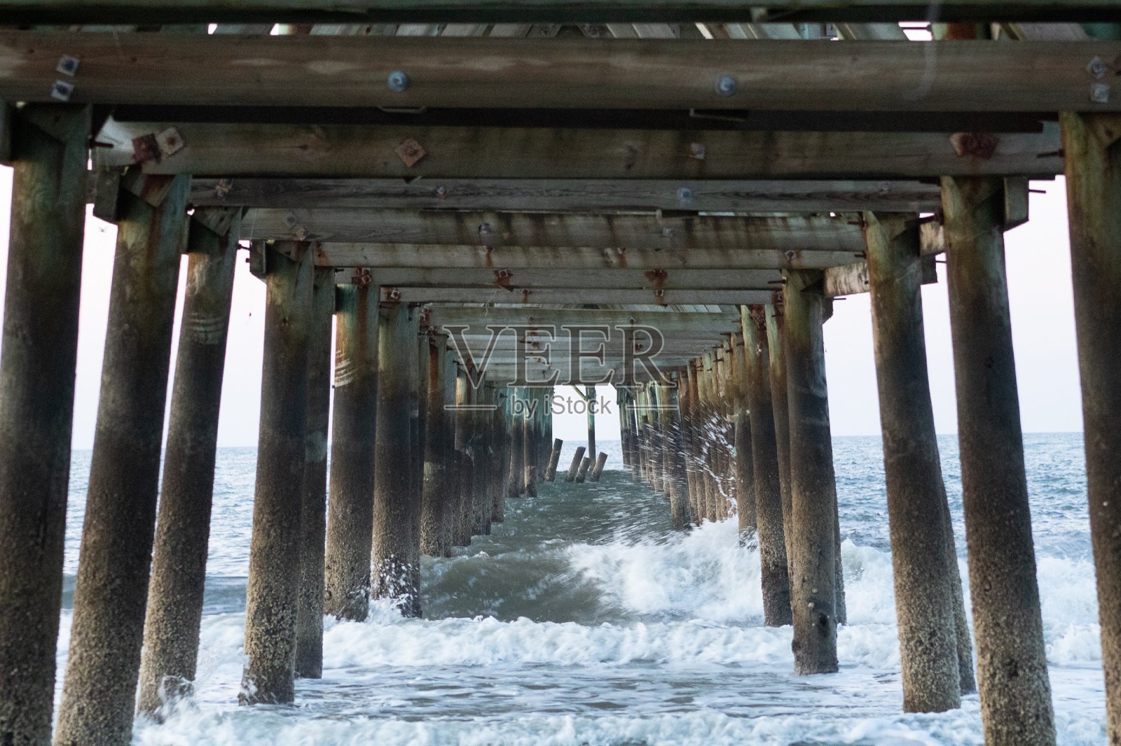日出的樱桃林码头照片摄影图片