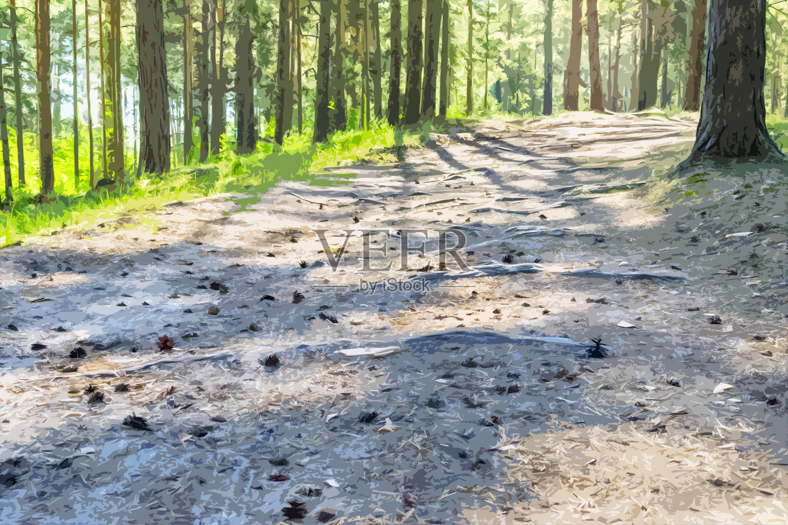 阳光明媚的小径,在一个夏日的森林与松树的阴影。断路插图。照片摄影图片