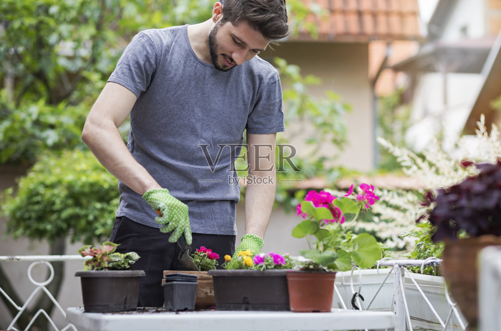 园艺照片摄影图片