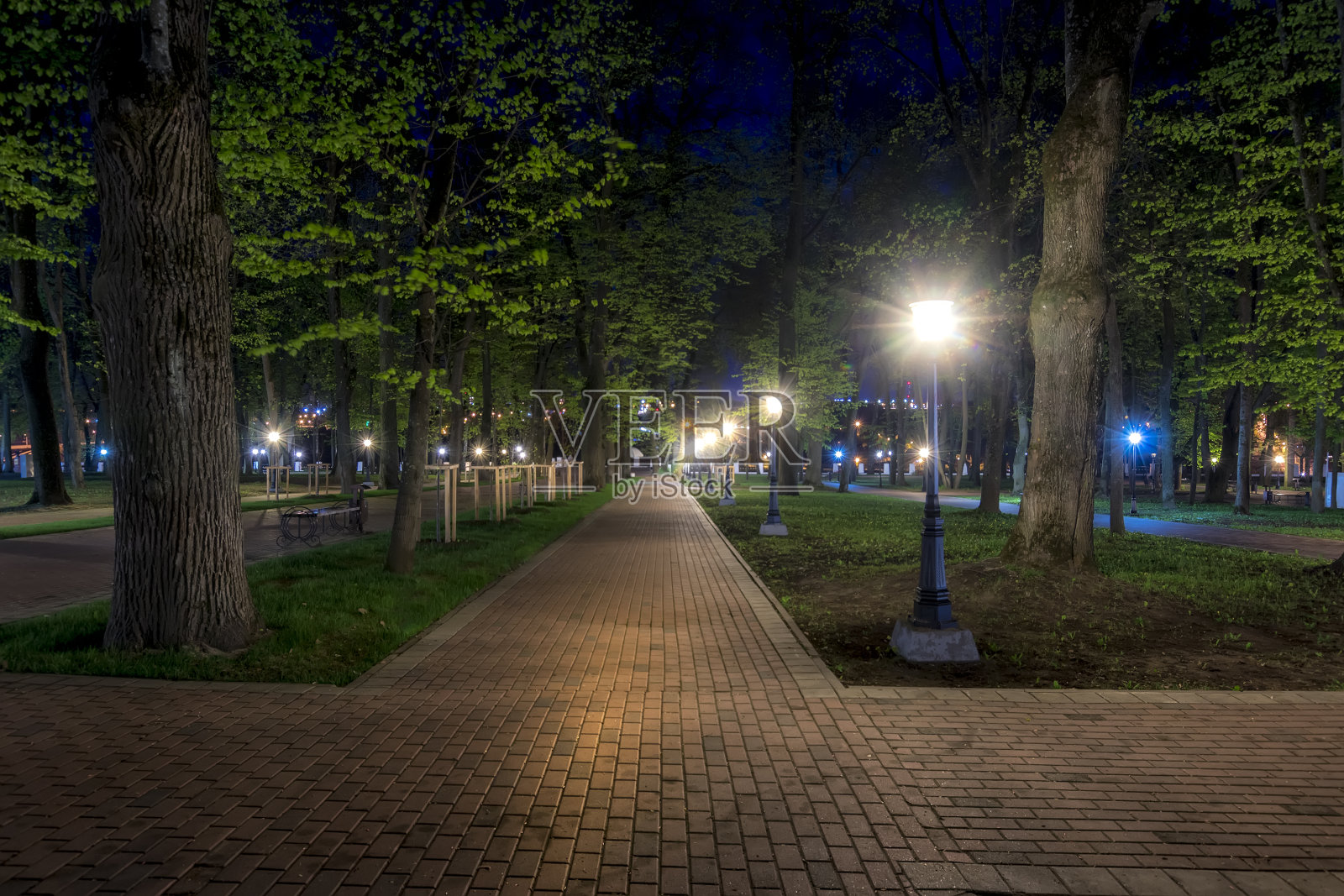 夏天的夜公园。照片摄影图片