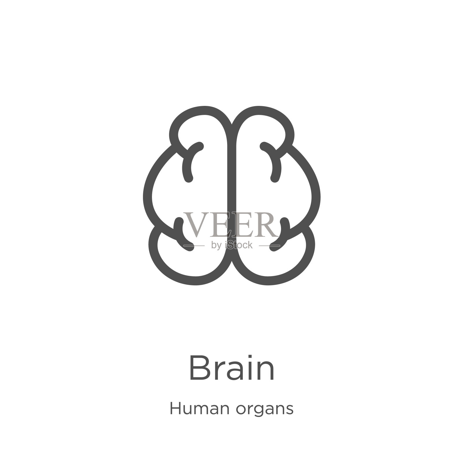 大脑图标矢量从人体器官收集。细线大脑轮廓图标矢量插图。大纲,细线大脑图标的网站设计和移动,应用程序开发。图标素材