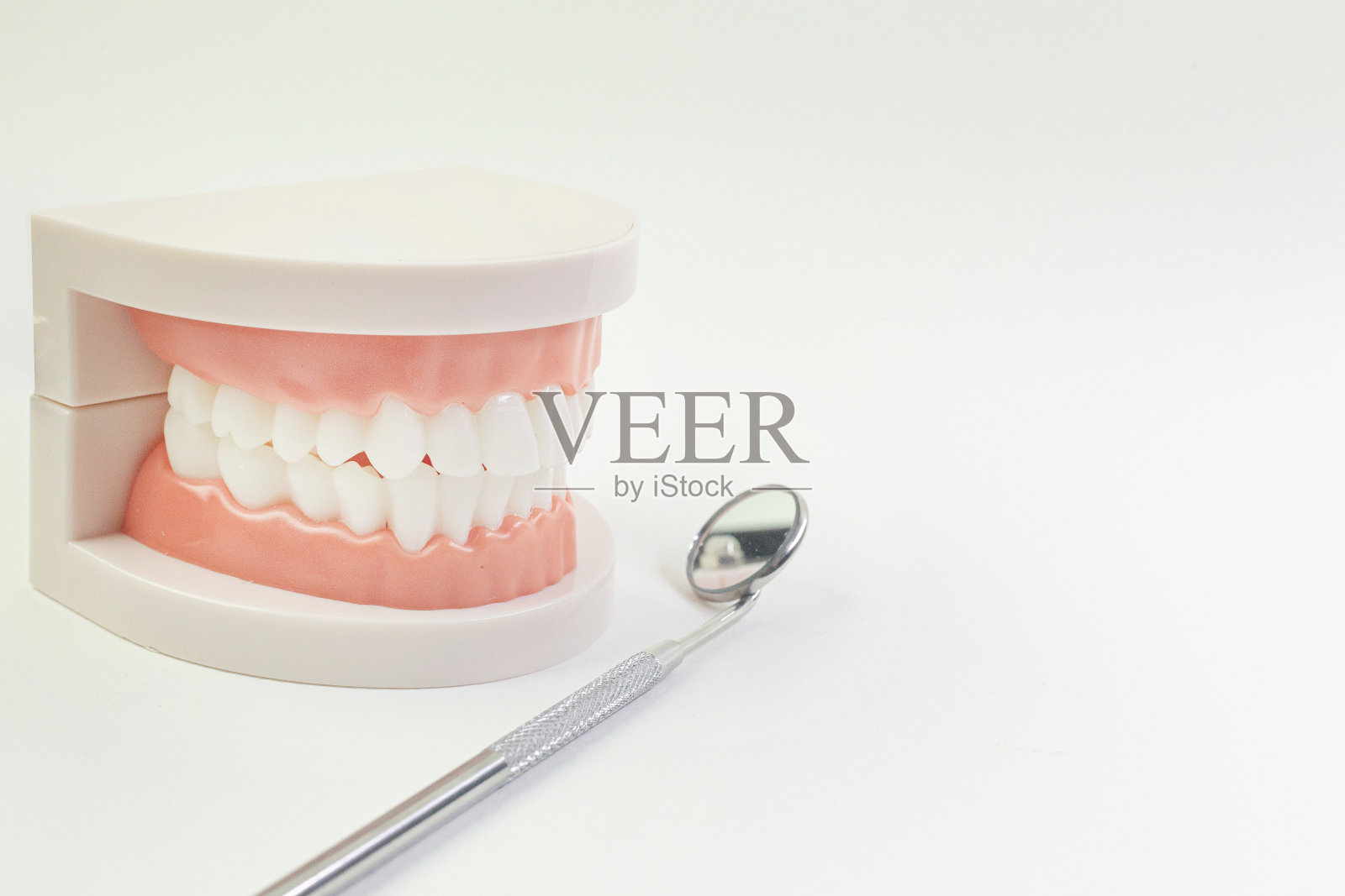 牙齿模型上的白色背景为牙科内容。照片摄影图片