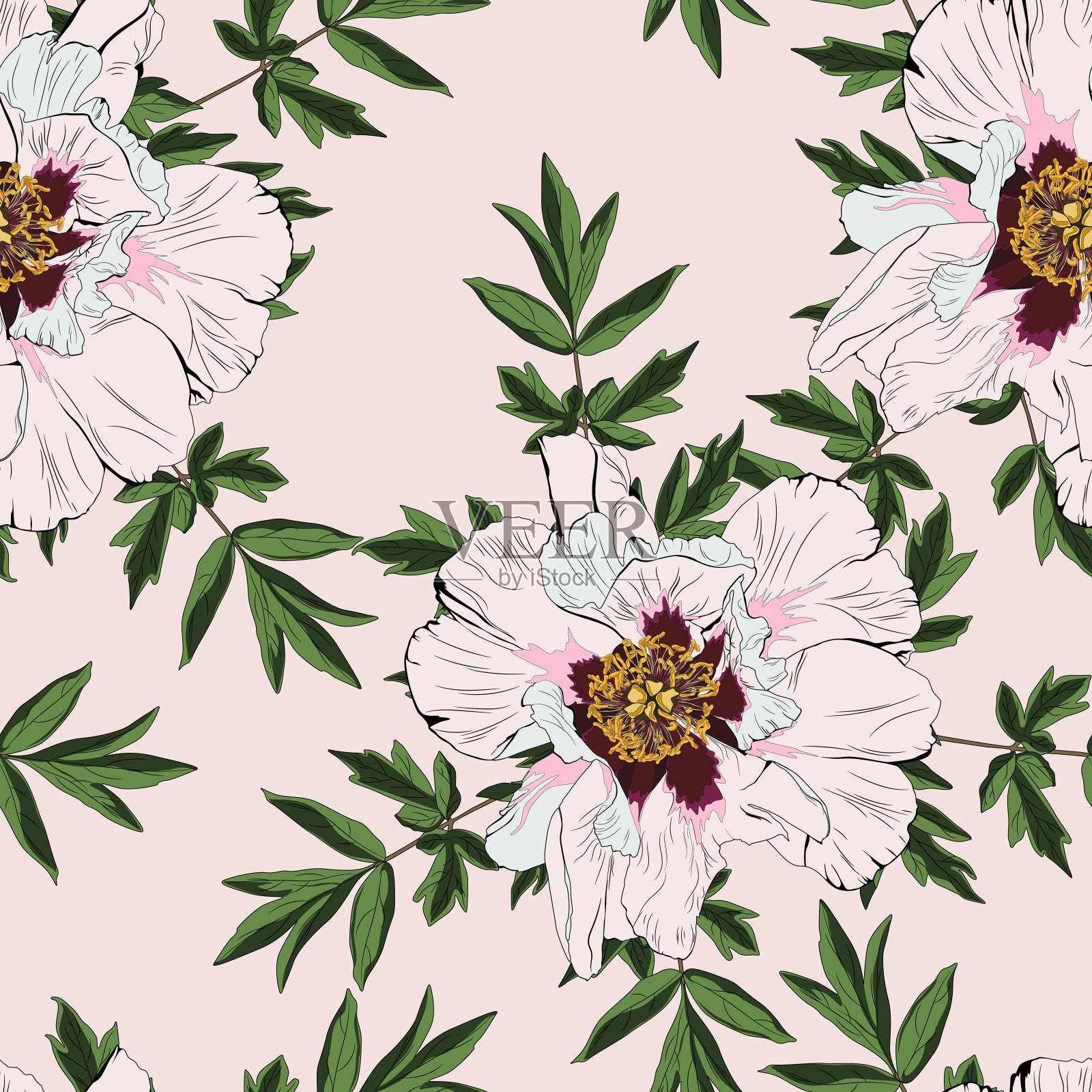 野花牡丹花无缝图案孤立在裸背景上。全称:牡丹。插画图片素材
