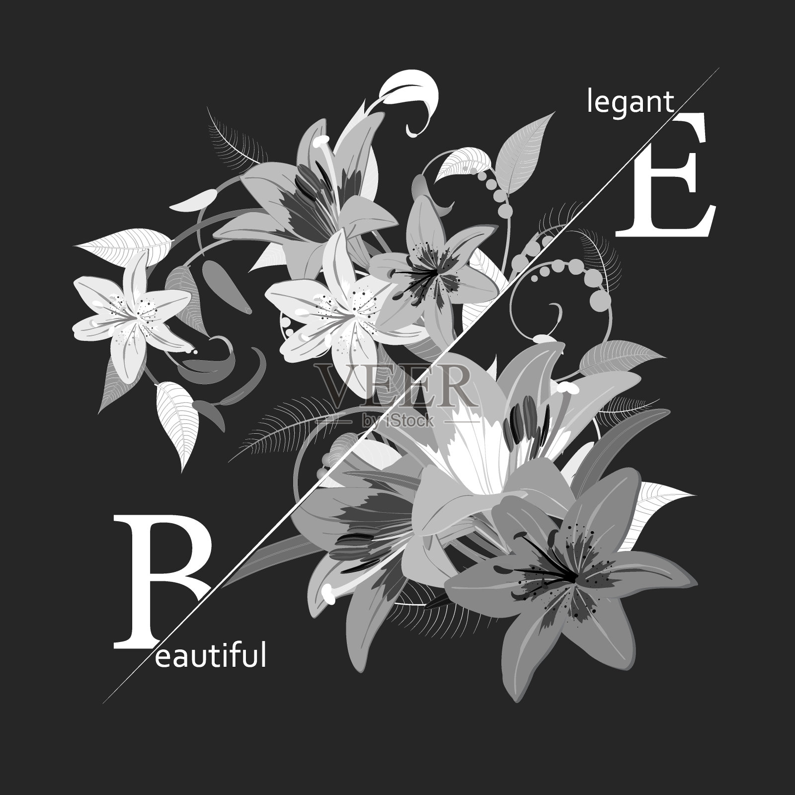 印刷标语与黑白花插图插画图片素材