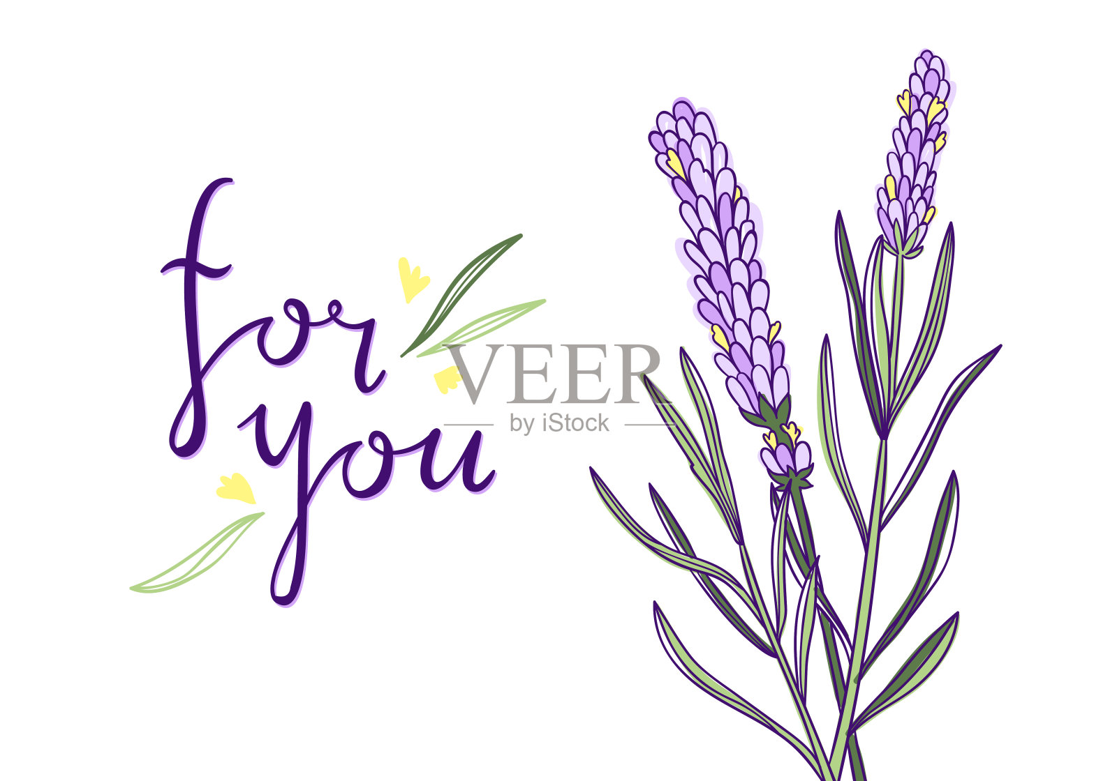 美丽的向量卡与薰衣草紫罗兰花和字母。贺卡设计模板插画图片素材
