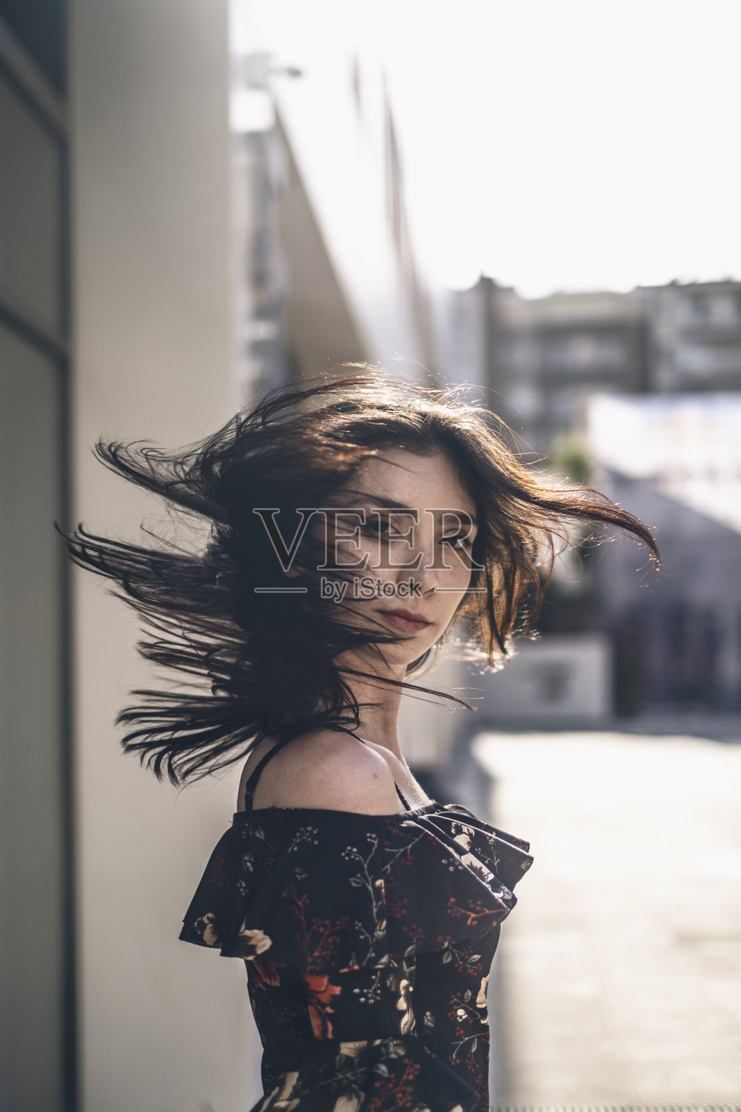 乱世佳人照片摄影图片