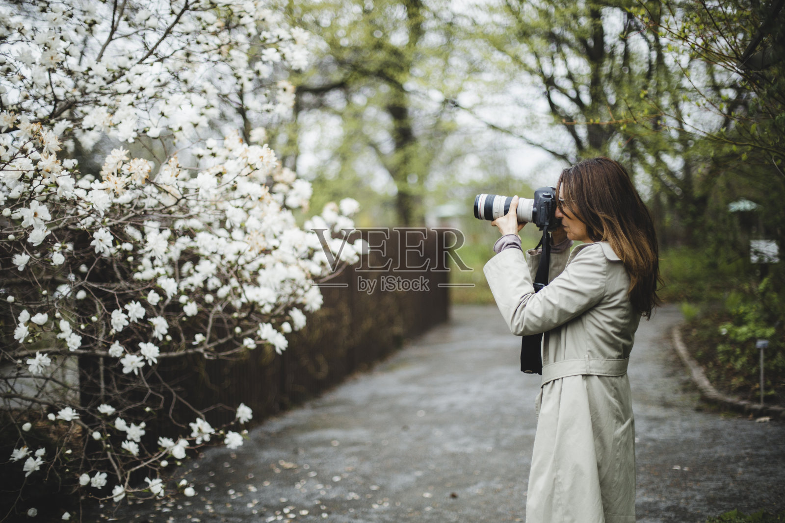 一个给木兰拍照的女人照片摄影图片