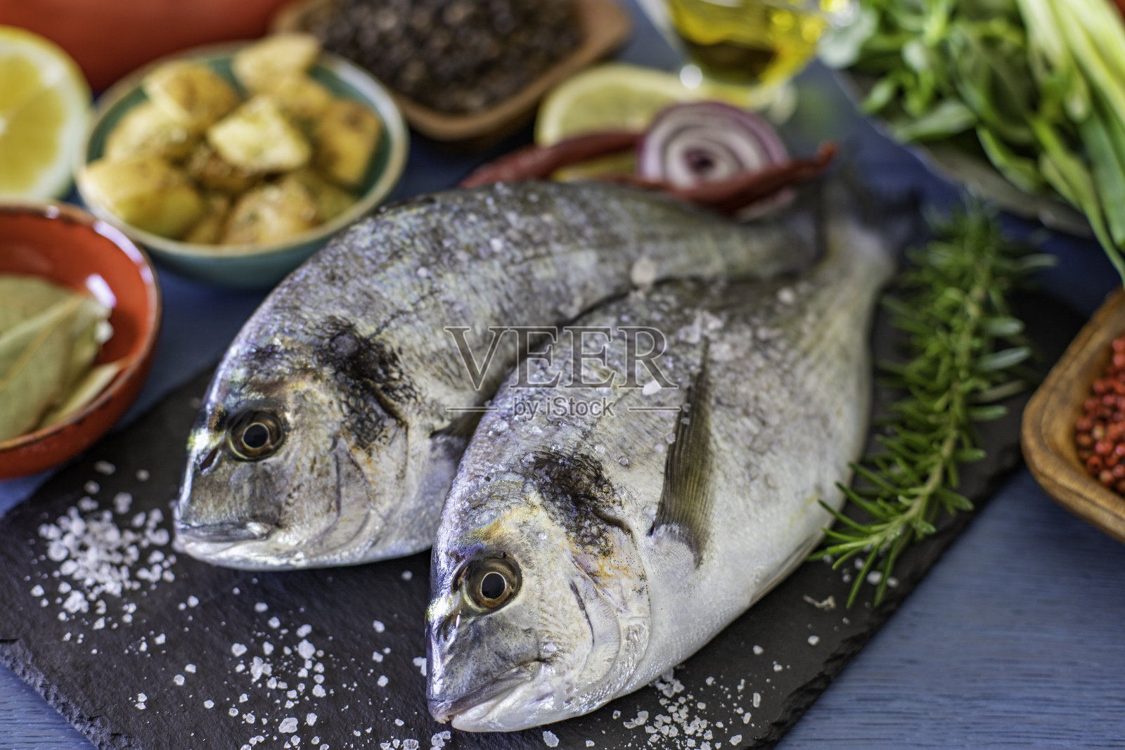 黑石上的海鲷(镀金头)照片摄影图片