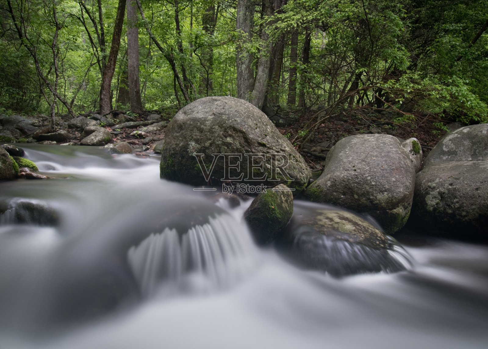 烟山国家公园-溪流和苔藓照片摄影图片