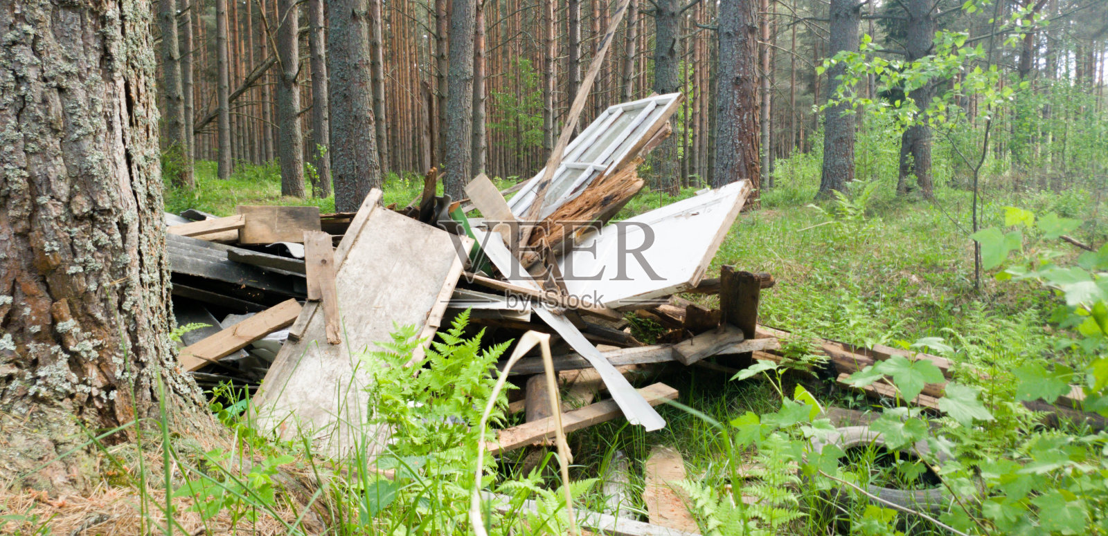 未经许可倾倒在森林里。垃圾堆在森林里。照片摄影图片