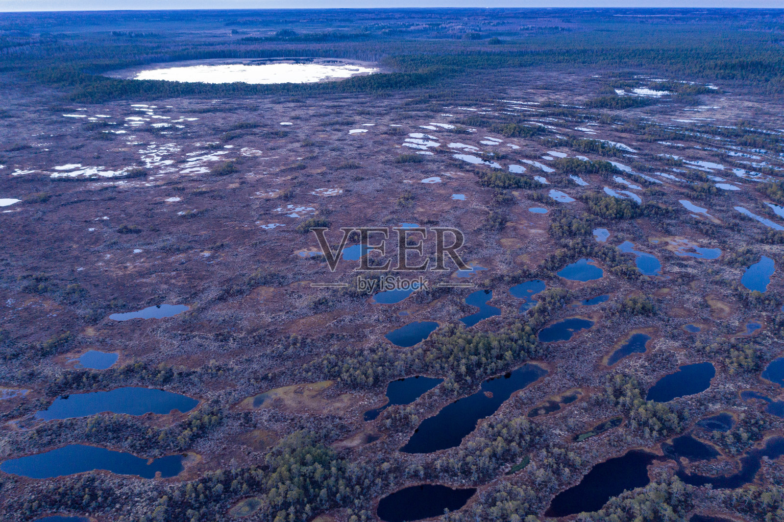 夕阳中的沼泽,金色的沼泽,湖泊和自然环境。春天的日落黄昏照片摄影图片