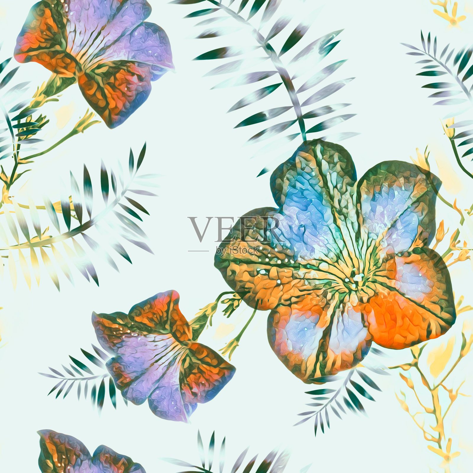 矮牵牛花无缝图案模板。插画图片素材