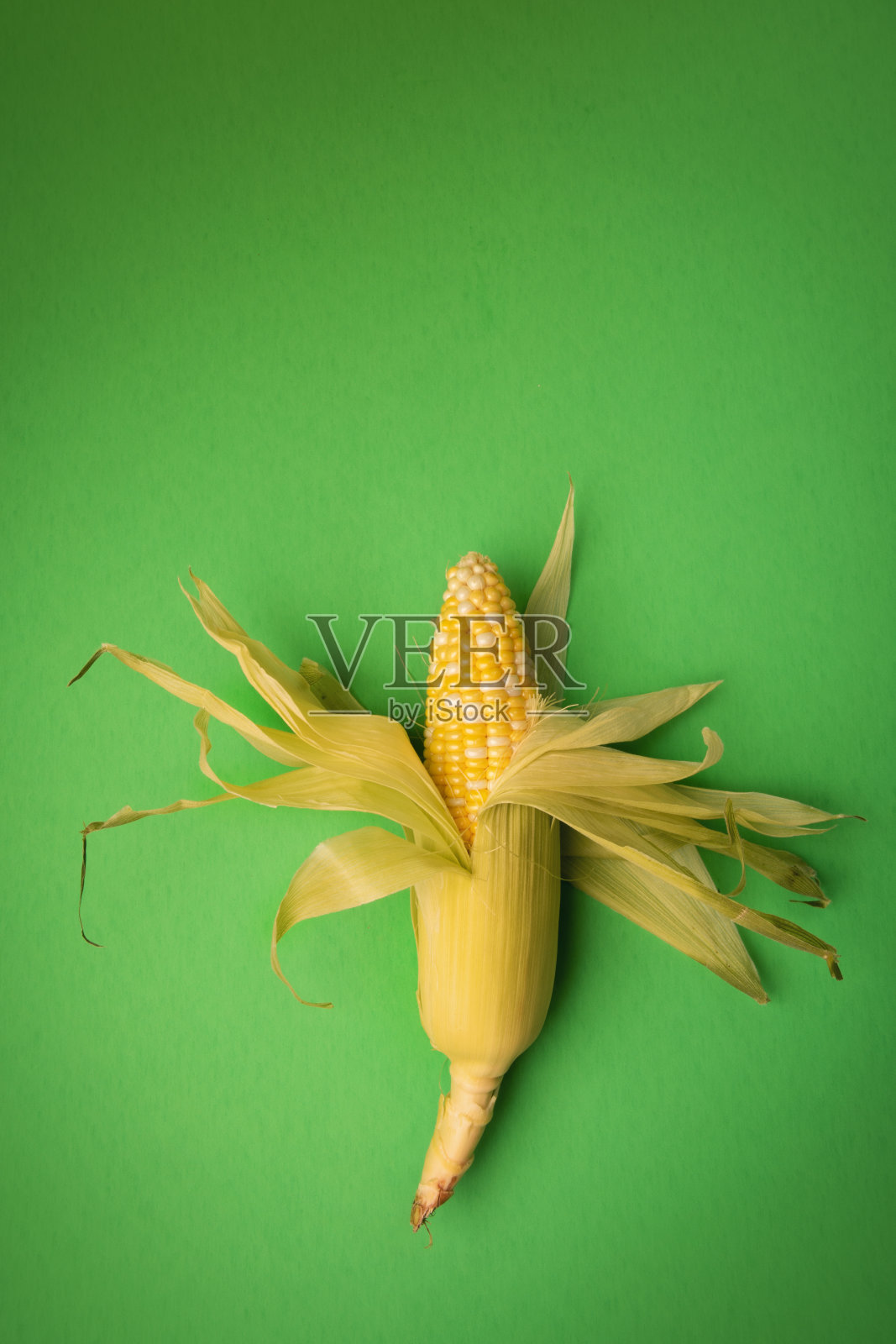 在绿色的玉米穗照片摄影图片