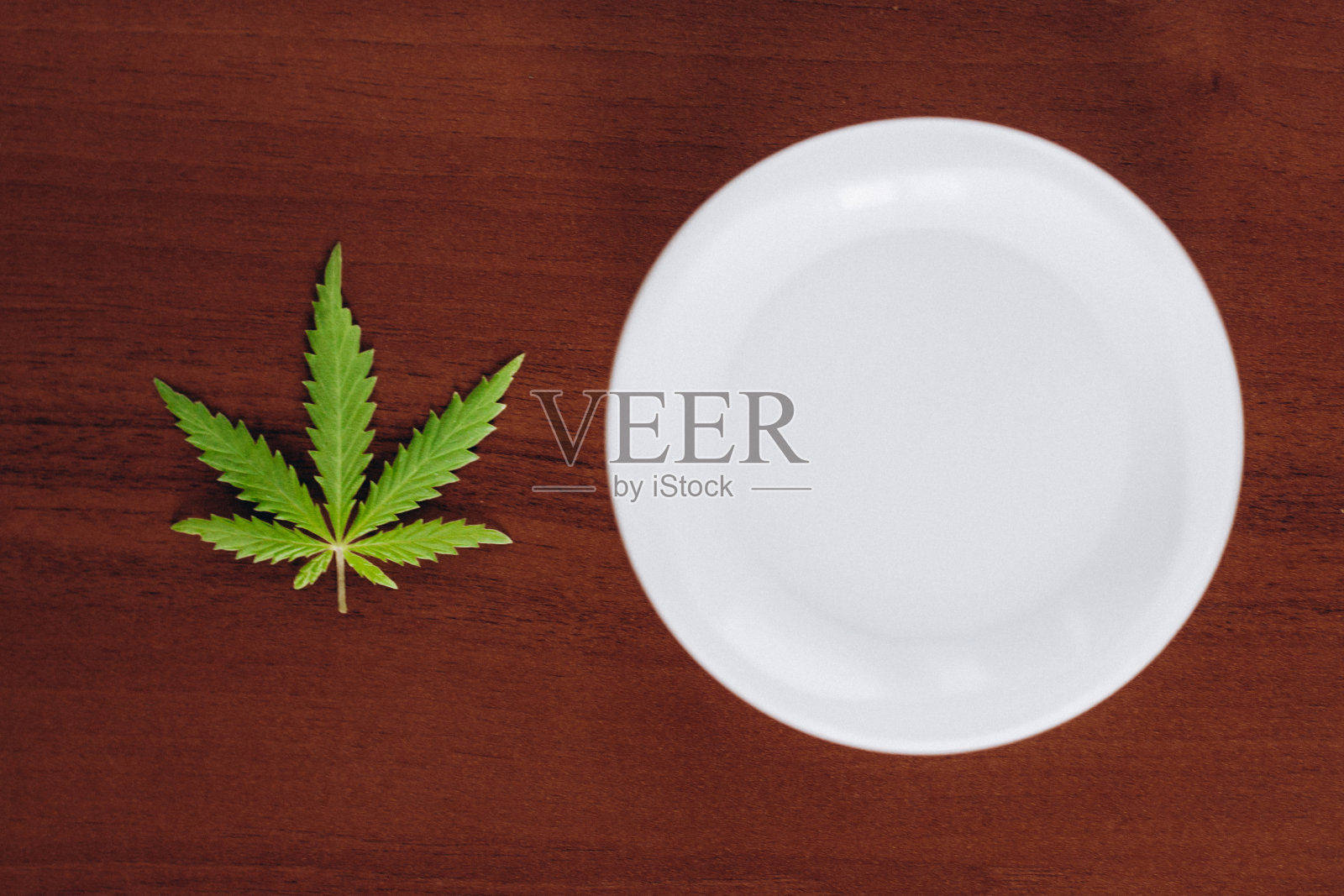 详细的大麻大麻膏与大麻叶-大麻主题概念。从生物和生态植物中提取大麻植物药用油CBD照片摄影图片