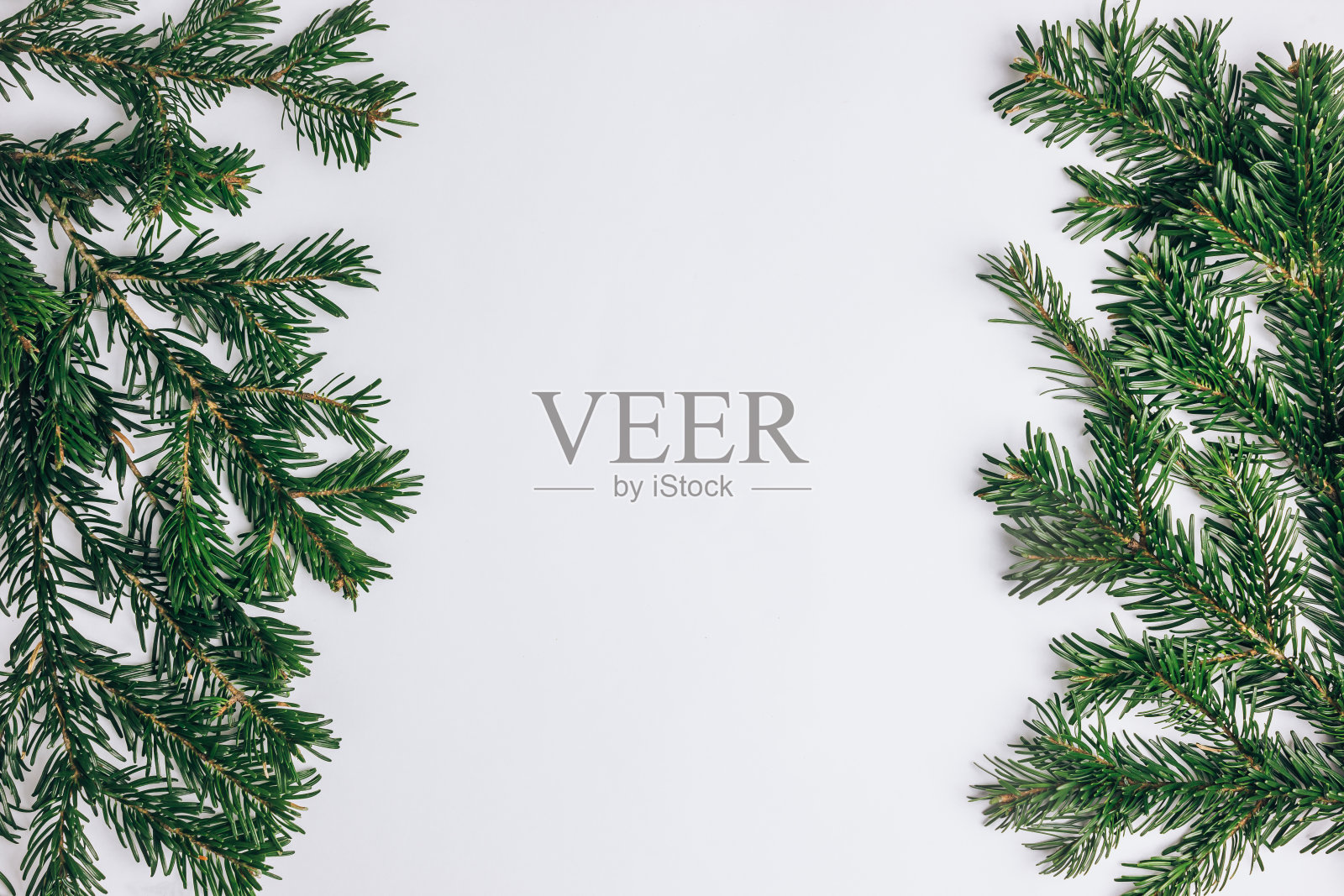 冷杉树枝在白色背景与复制空间。照片摄影图片