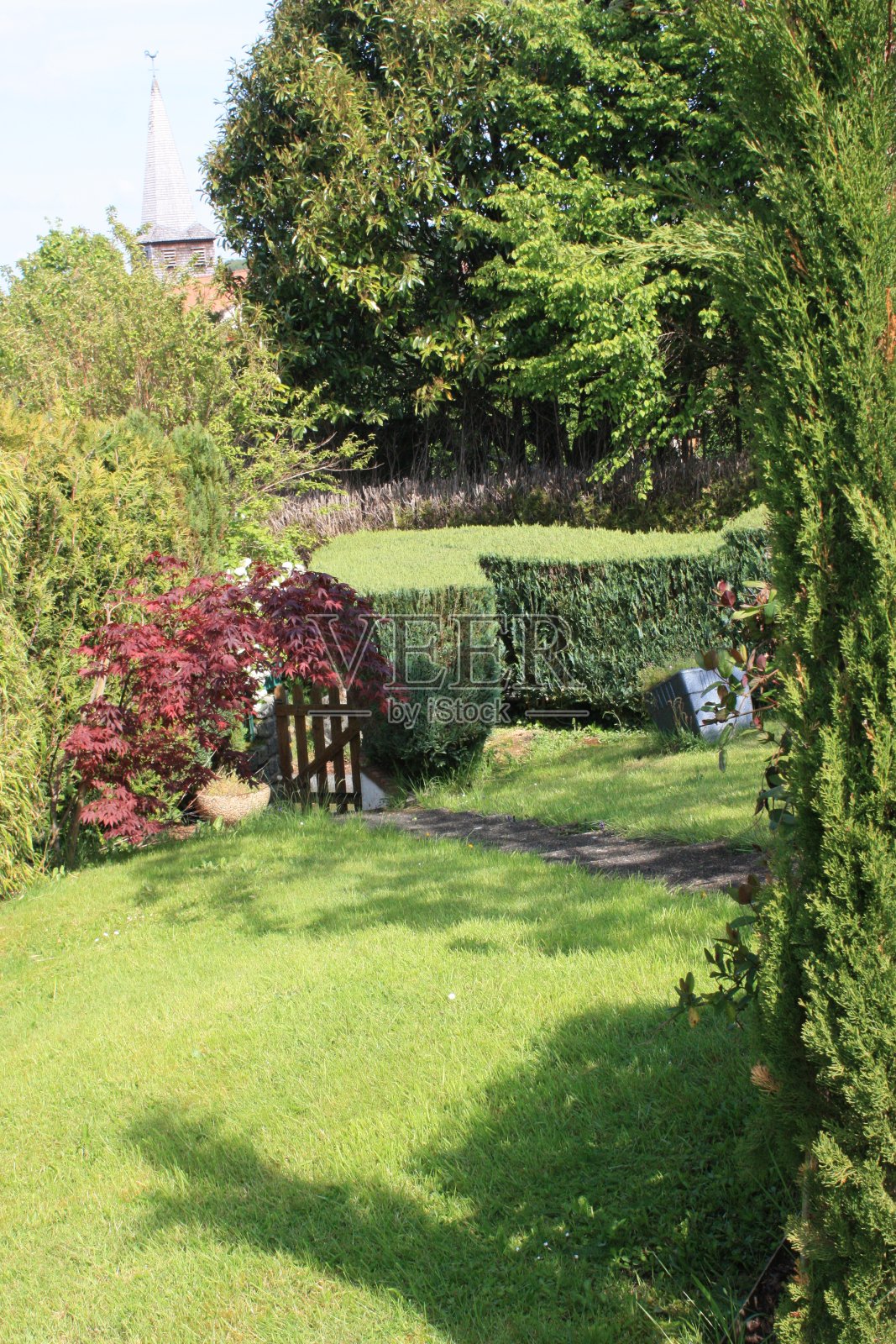 房子的花园,周围是加拿大的雪松照片摄影图片