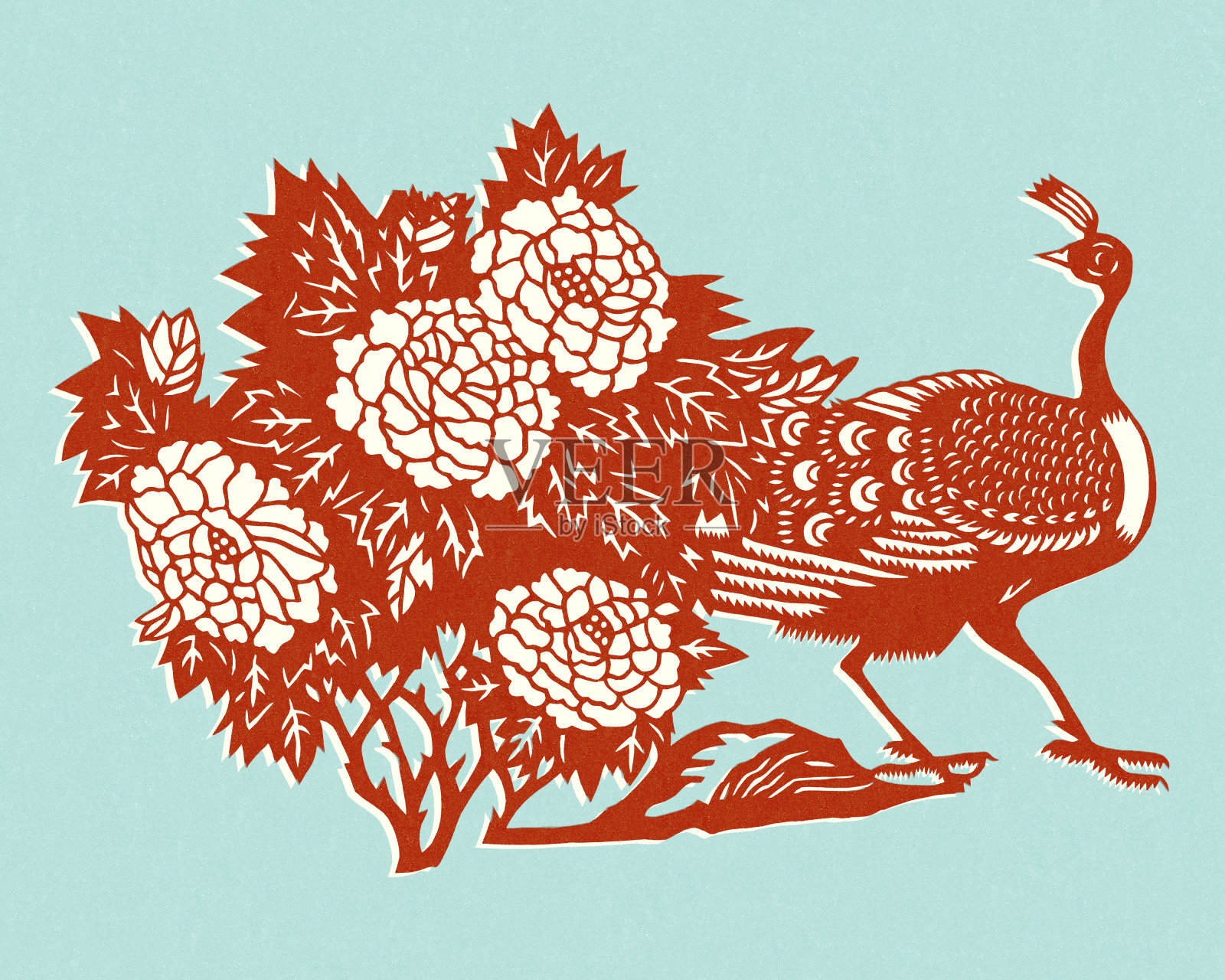 红色孔雀插画图片素材