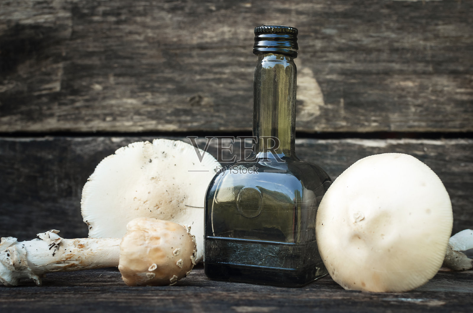 毒药。照片摄影图片