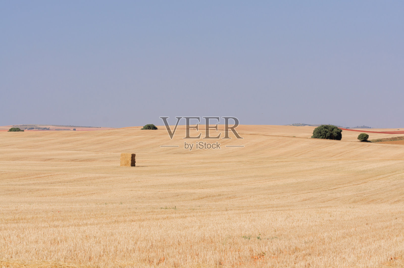 有稻草捆的农村农田照片摄影图片