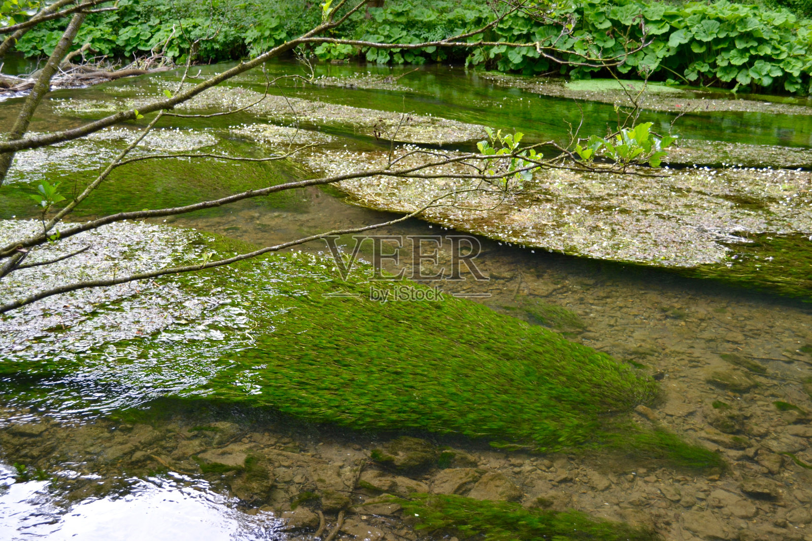 德比郡达夫河的大麻照片摄影图片