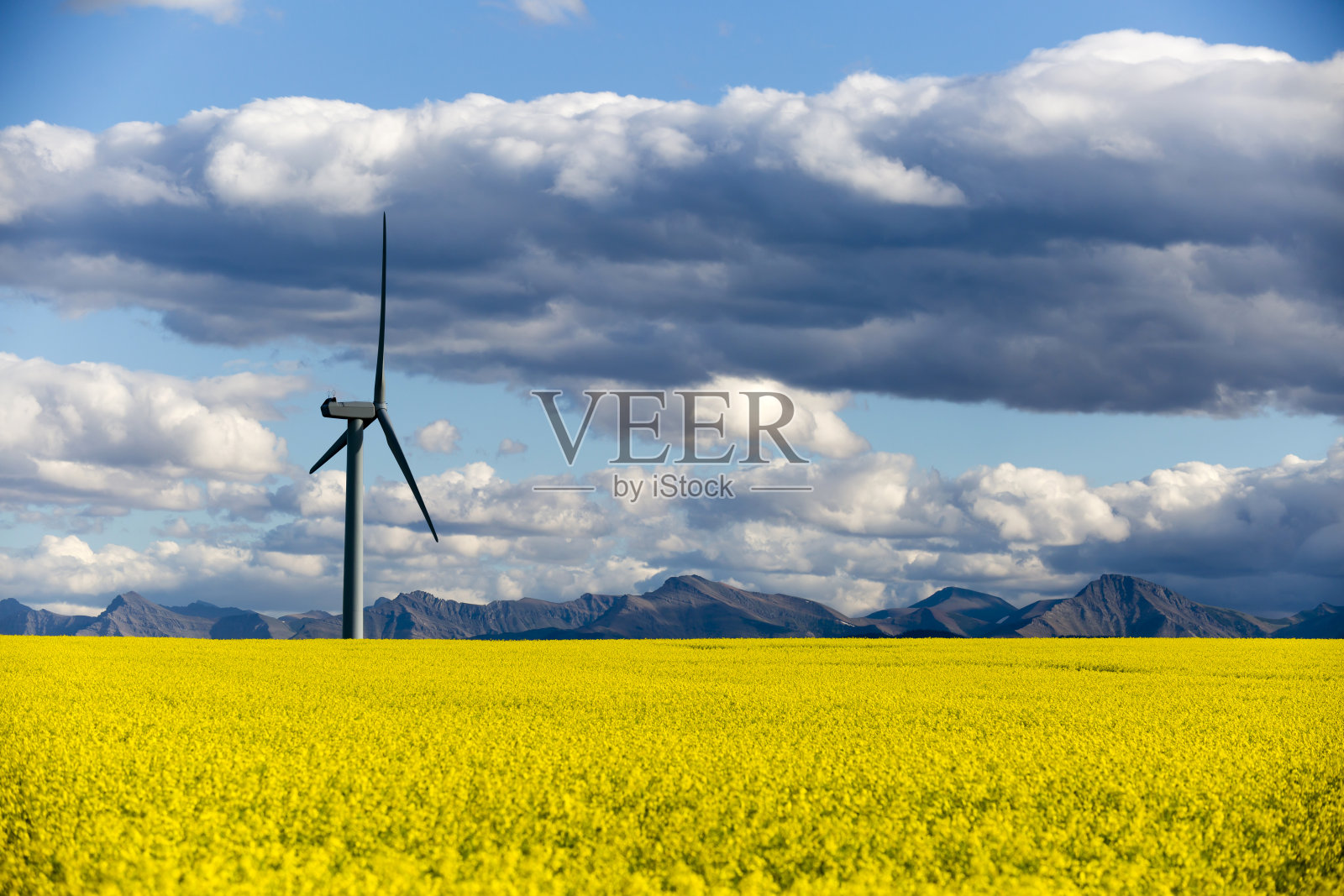 风力发电可再生能源照片摄影图片