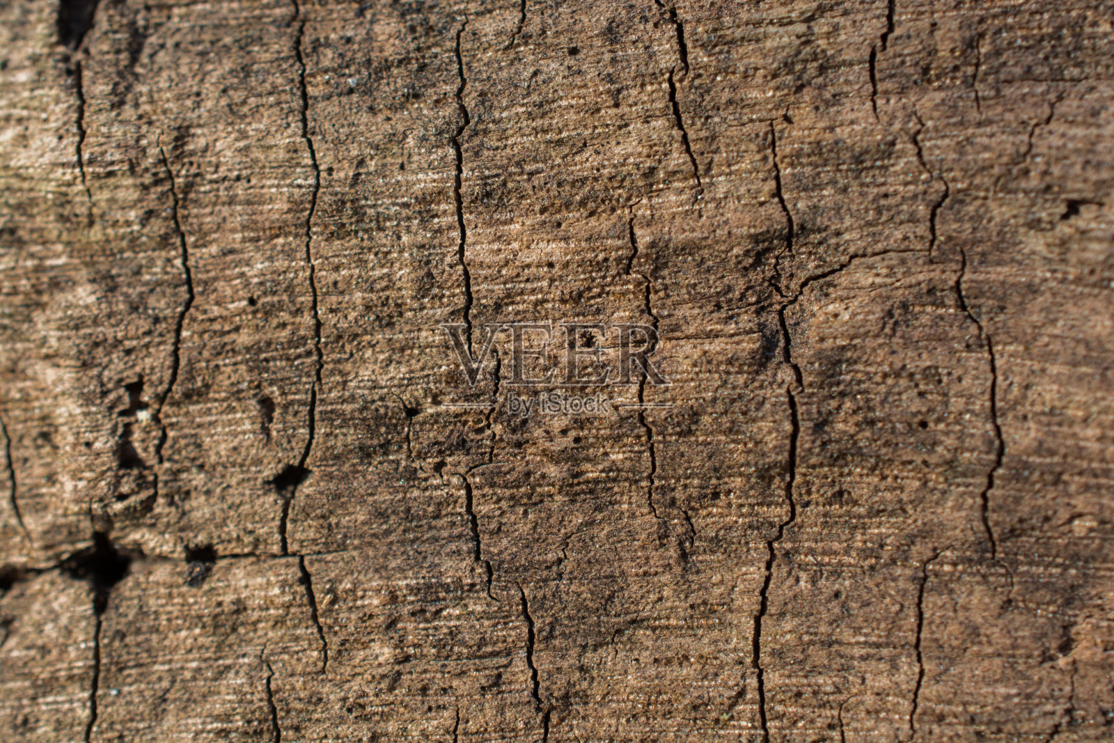 木材纹理与自然图案照片摄影图片