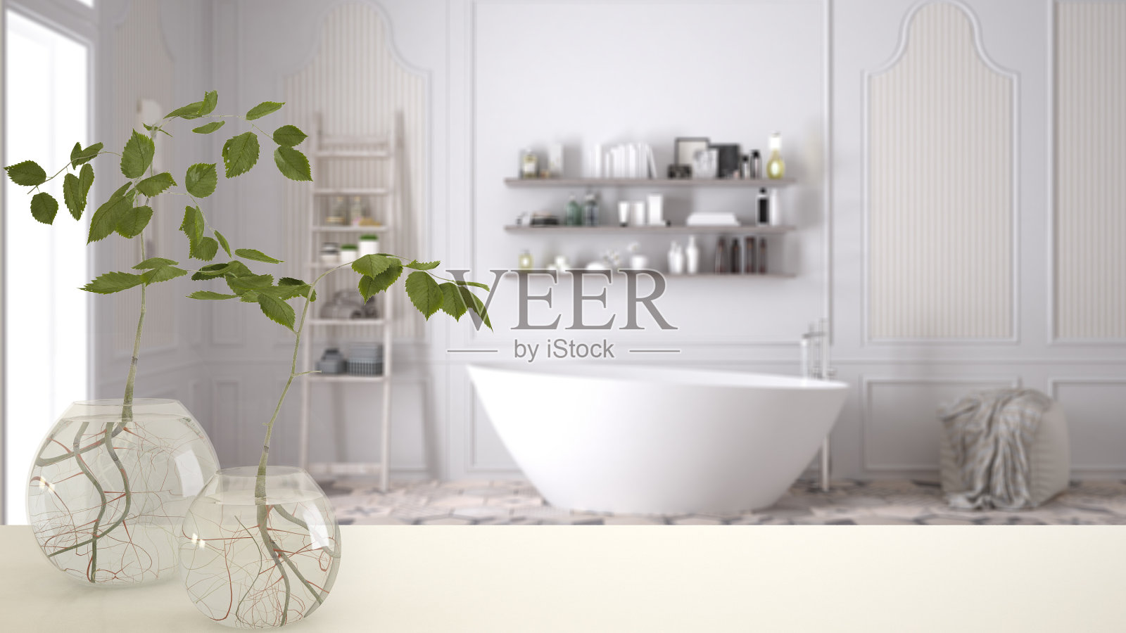 白色的桌面或架子用玻璃花瓶和水栽植物,点缀,水中植物的根,花瓶中的枝,室内植物,现代模糊的浴室背景,室内设计照片摄影图片