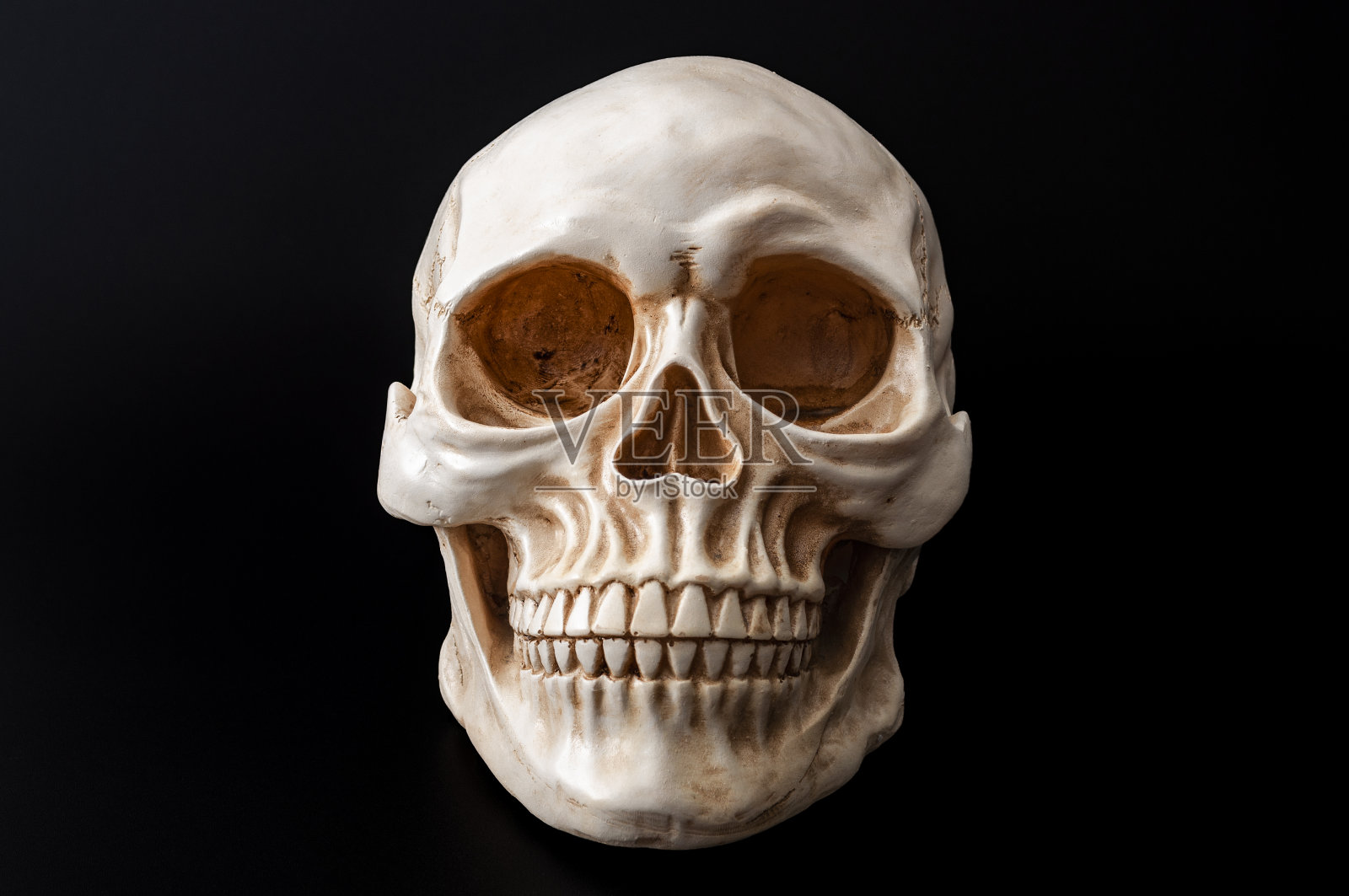 死亡和生命短暂的本质概念主题与正面肖像的人类头骨孤立在黑色背景与高对比度的moody光和剪辑路径cutout照片摄影图片