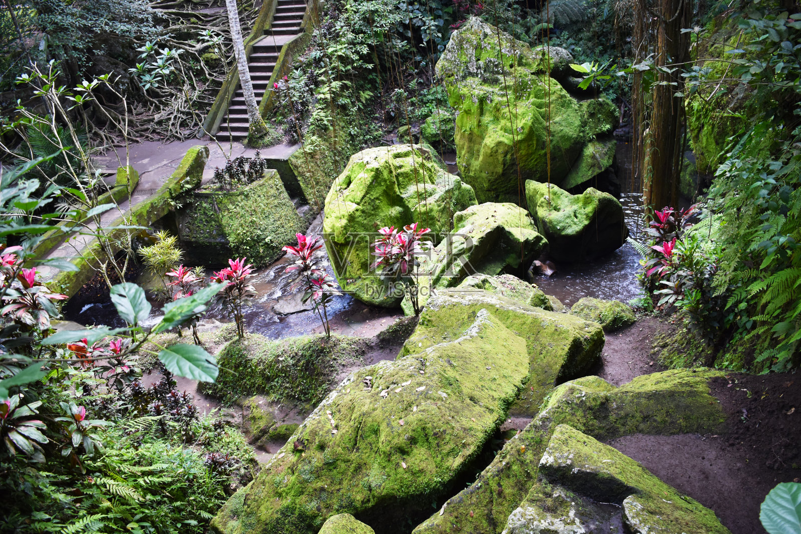 丛林在果阿迦扎(大象洞),印度尼西亚巴厘岛照片摄影图片