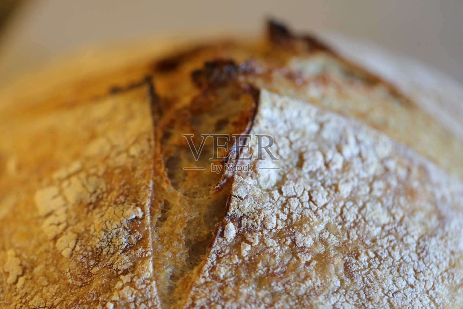 自制的面包酵母照片摄影图片