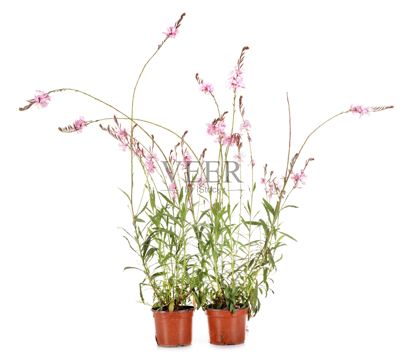 高拉工厂照片摄影图片