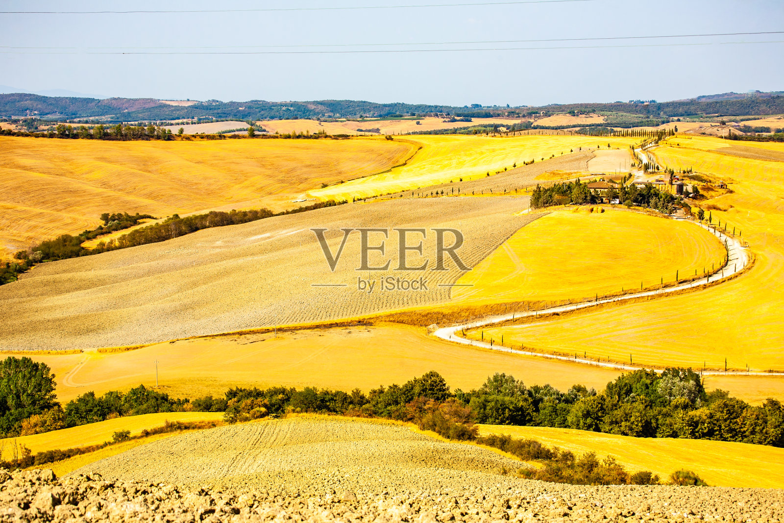 秋天的田野照片摄影图片