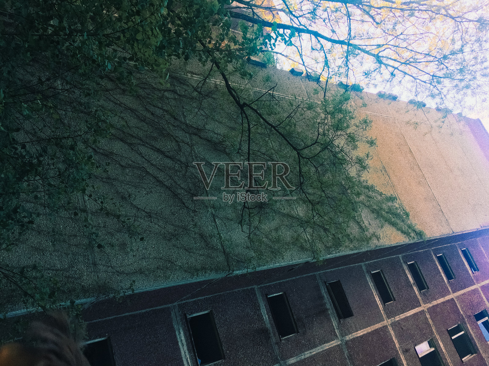 俄罗斯乌克兰切尔诺贝利核电站普里皮亚季的手机图像照片摄影图片