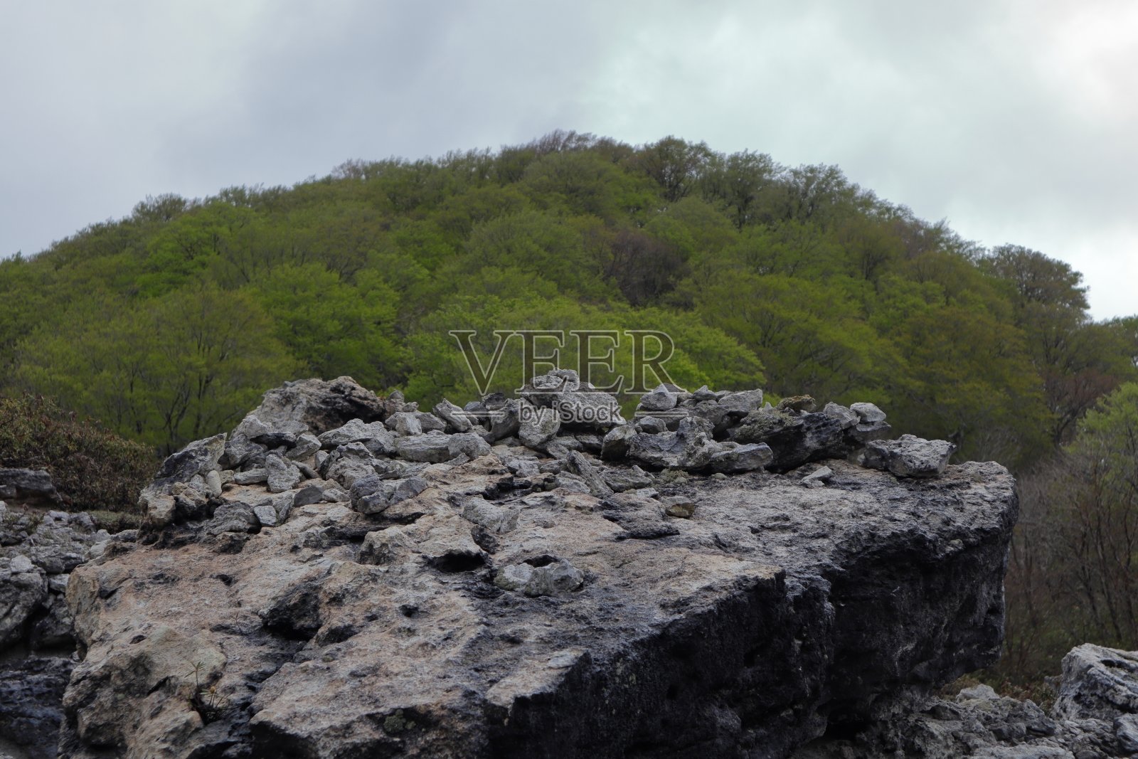 日本青森的牛脊山照片摄影图片
