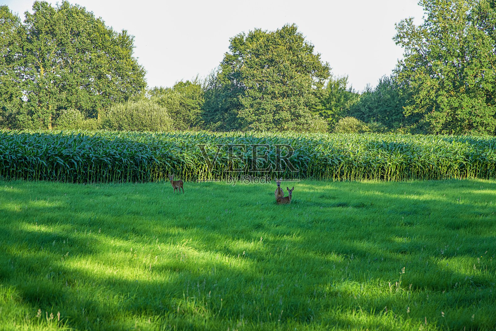 德国美妙的风景照片摄影图片