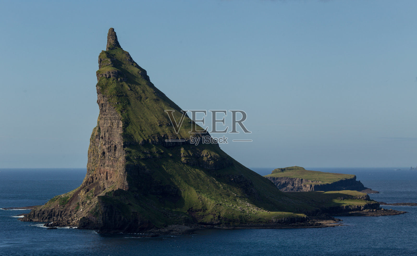 法罗群岛绿色植物照片摄影图片