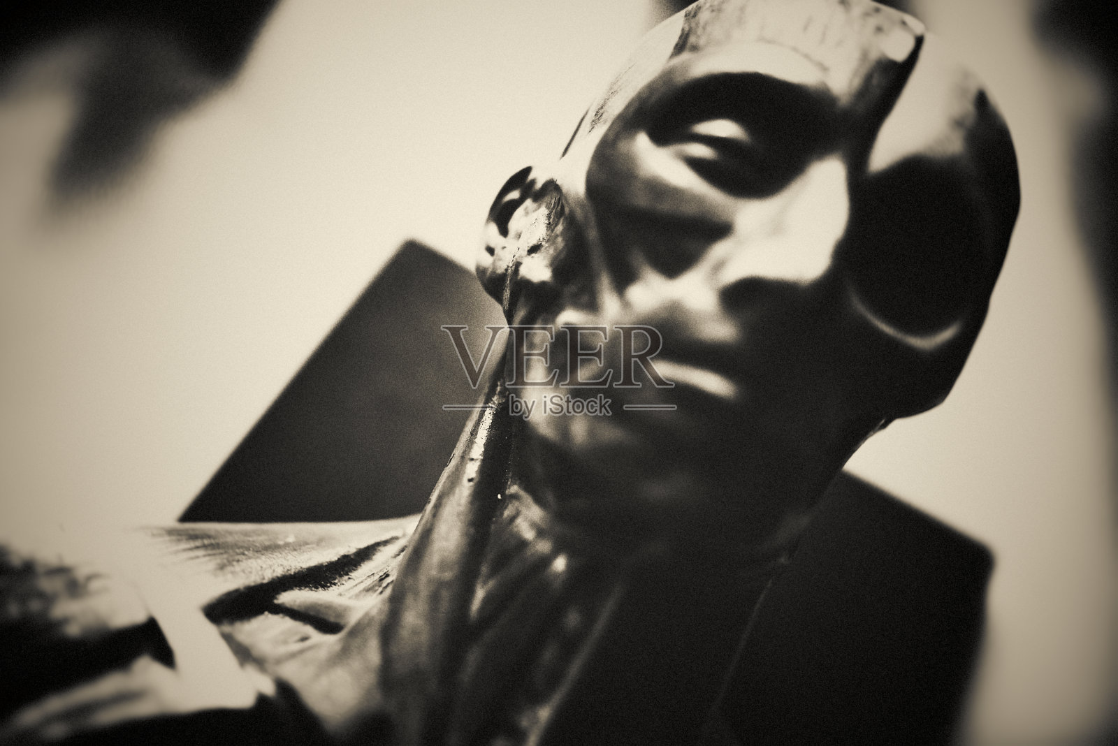 头骨照片摄影图片