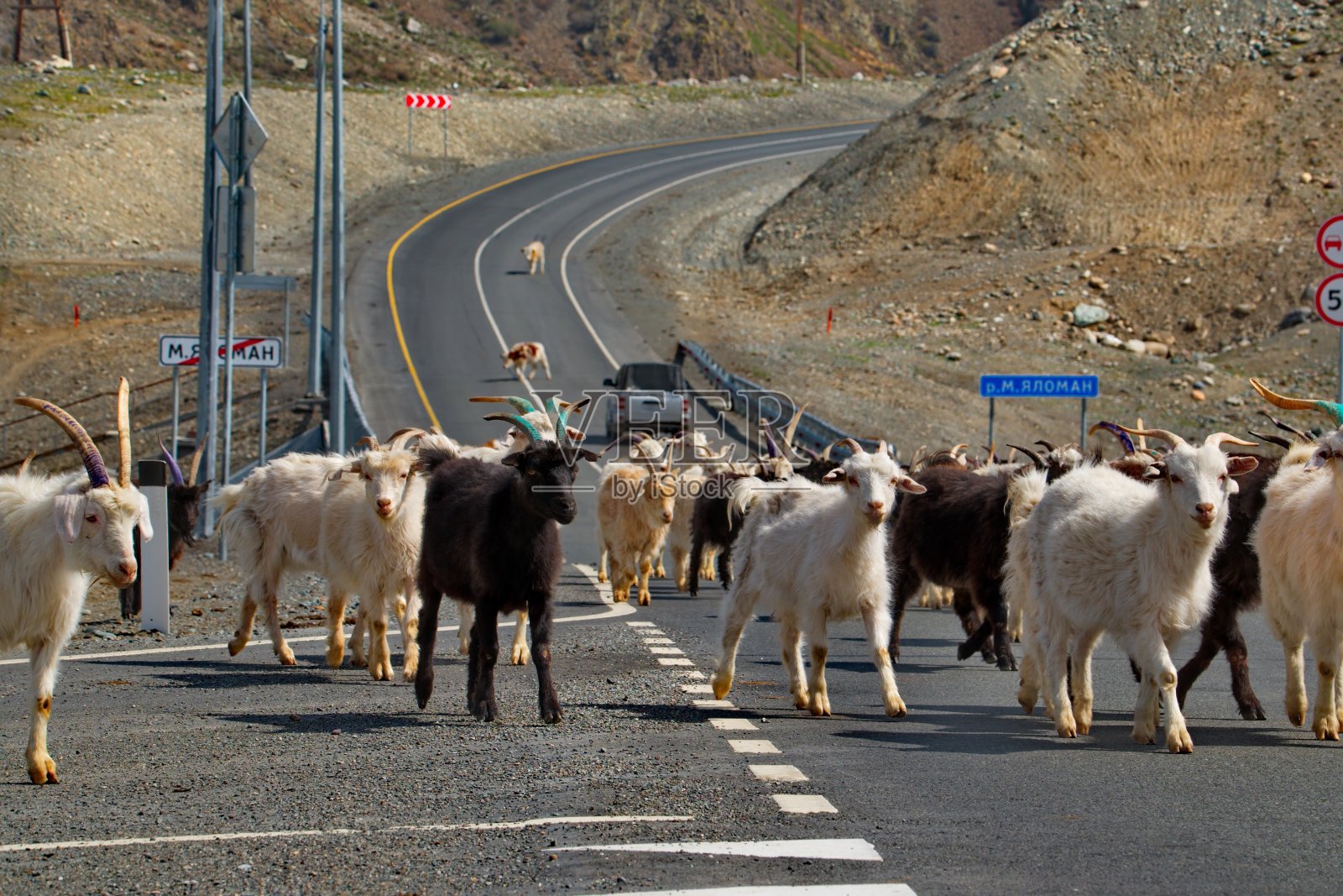 晚上路回家照片摄影图片