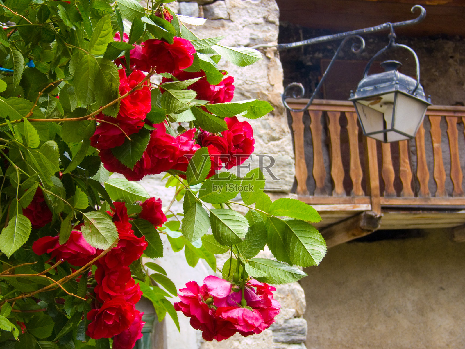 噪音国家公园照片摄影图片