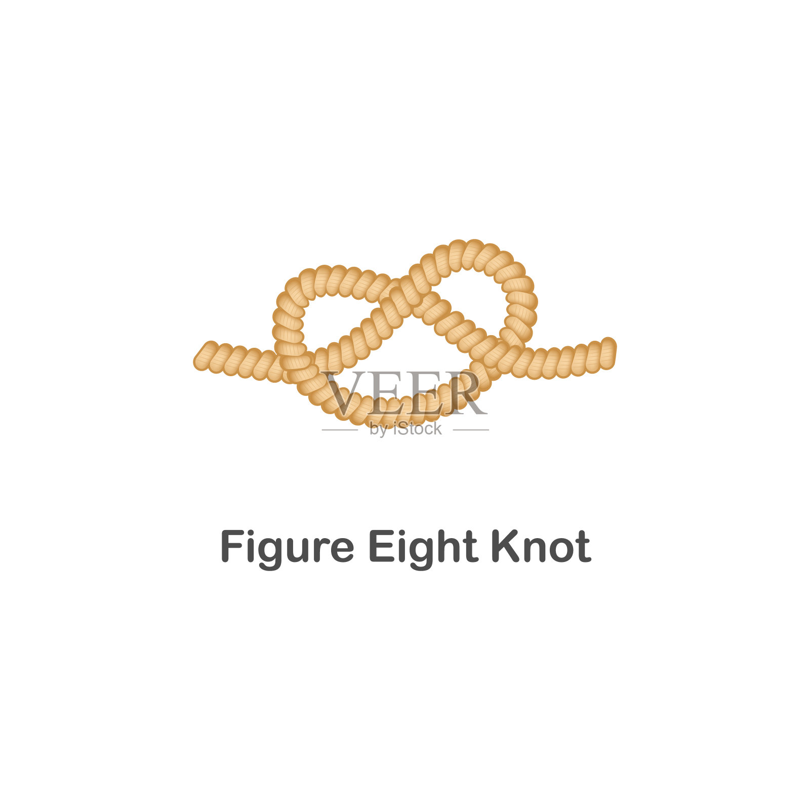 一种航海或海上结,八字结,用于带环的绳索。插画图片素材