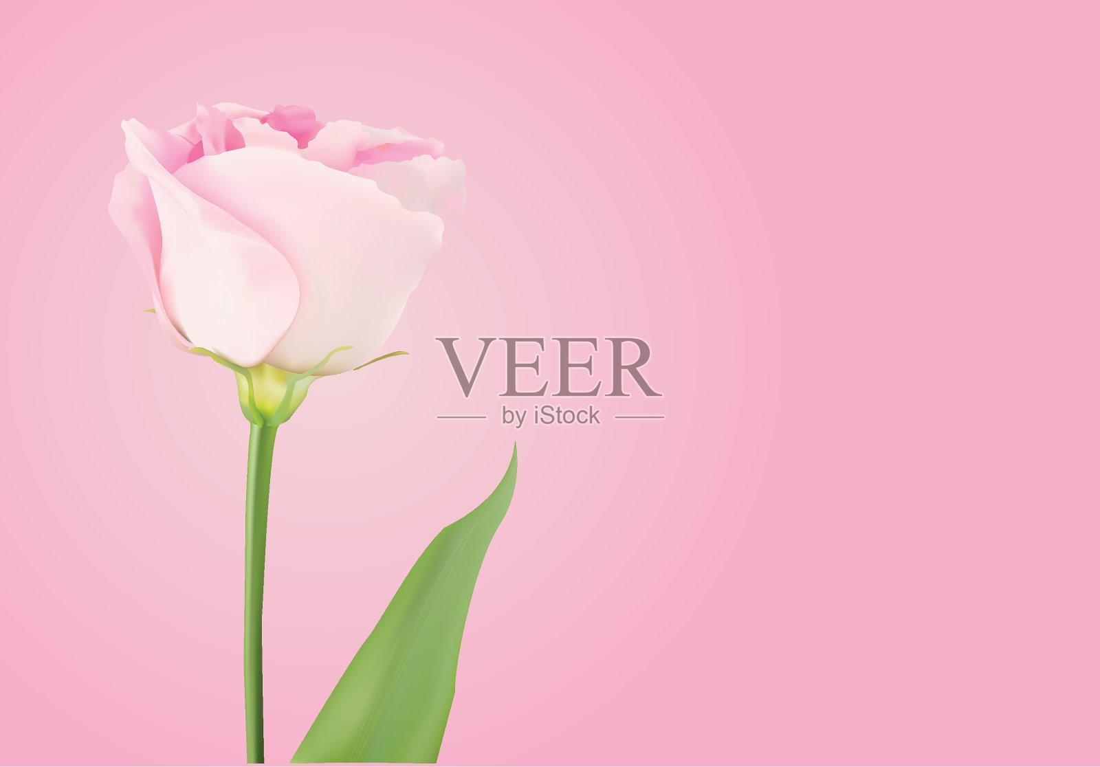 花背景和春天矢量插图EPS10插画图片素材