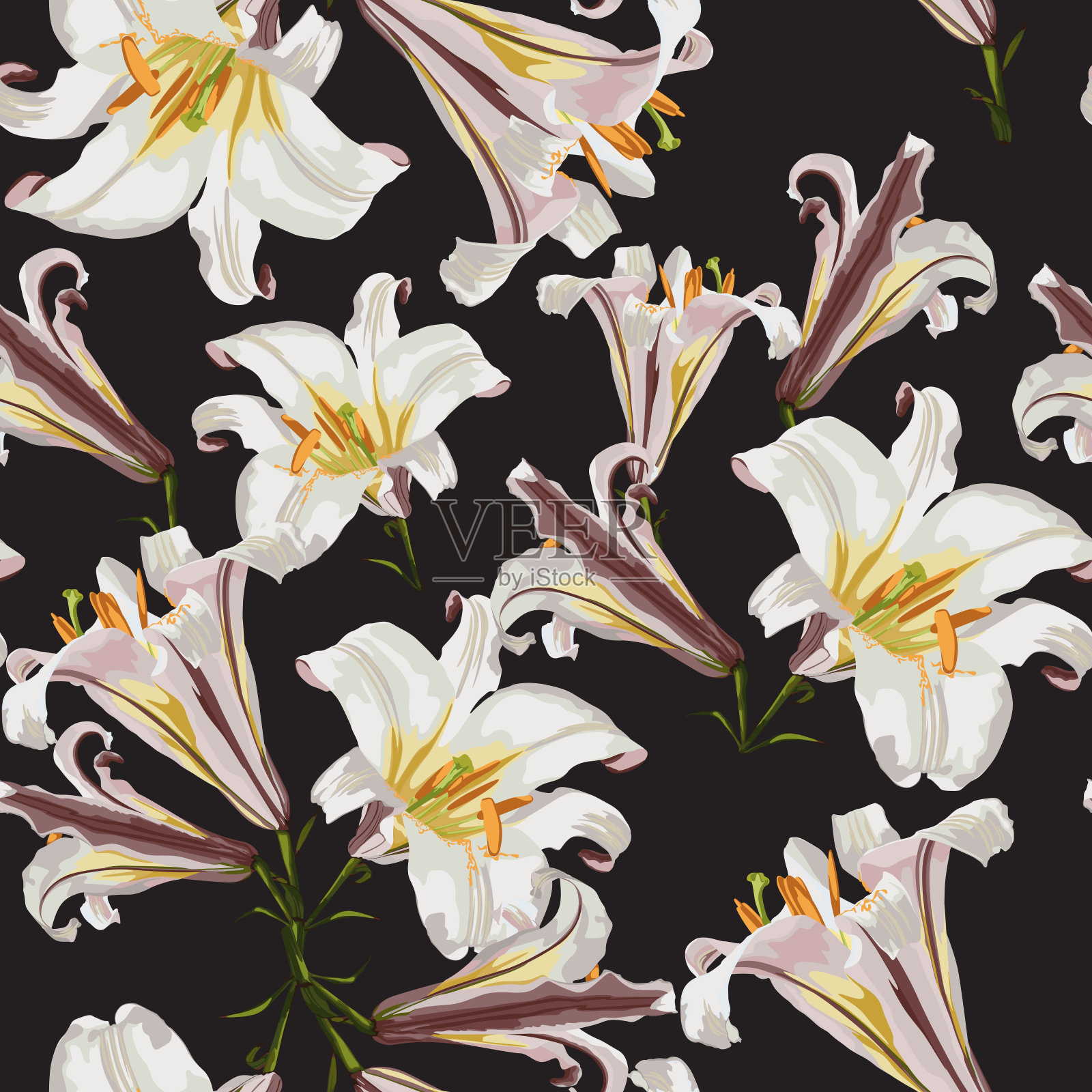 水彩风格的美丽的白色百合花。黑色背景上的无缝图案。插画图片素材