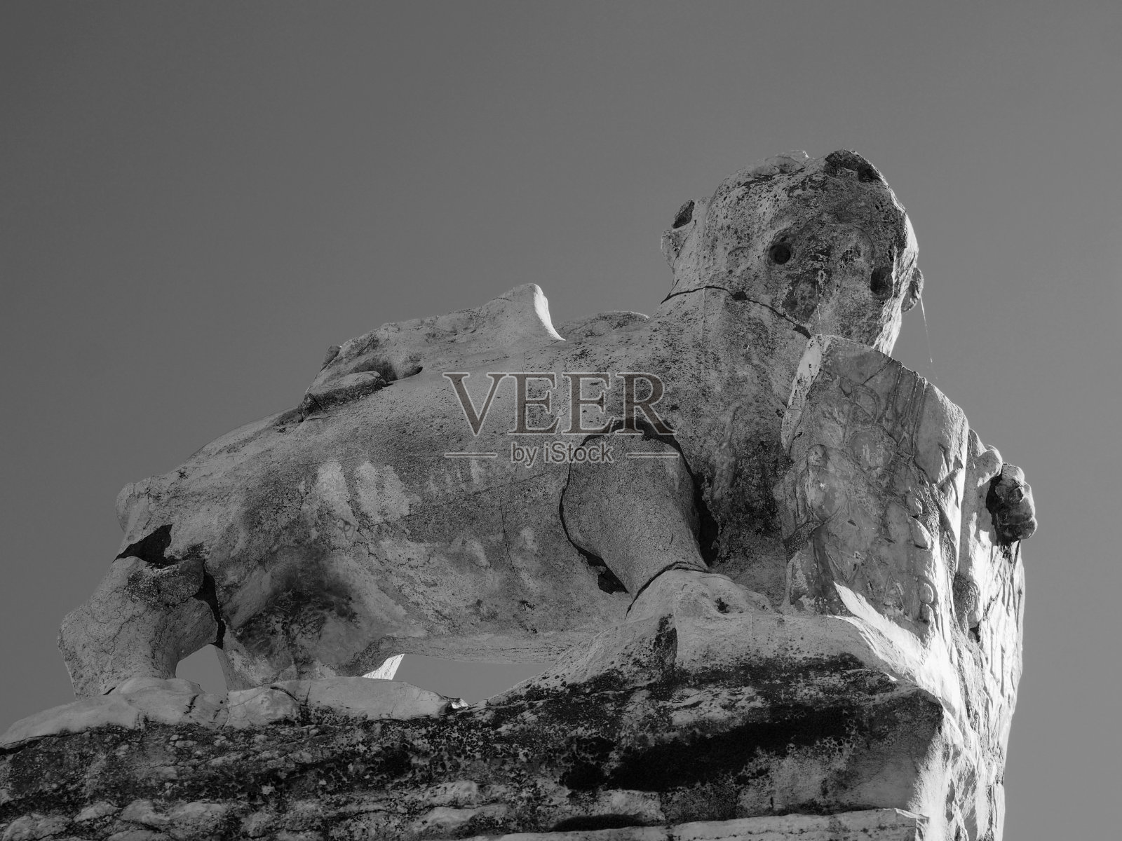 黑白图像的一个古老的腐蚀威尼斯翼狮雕像的圣马克持有福音照片摄影图片